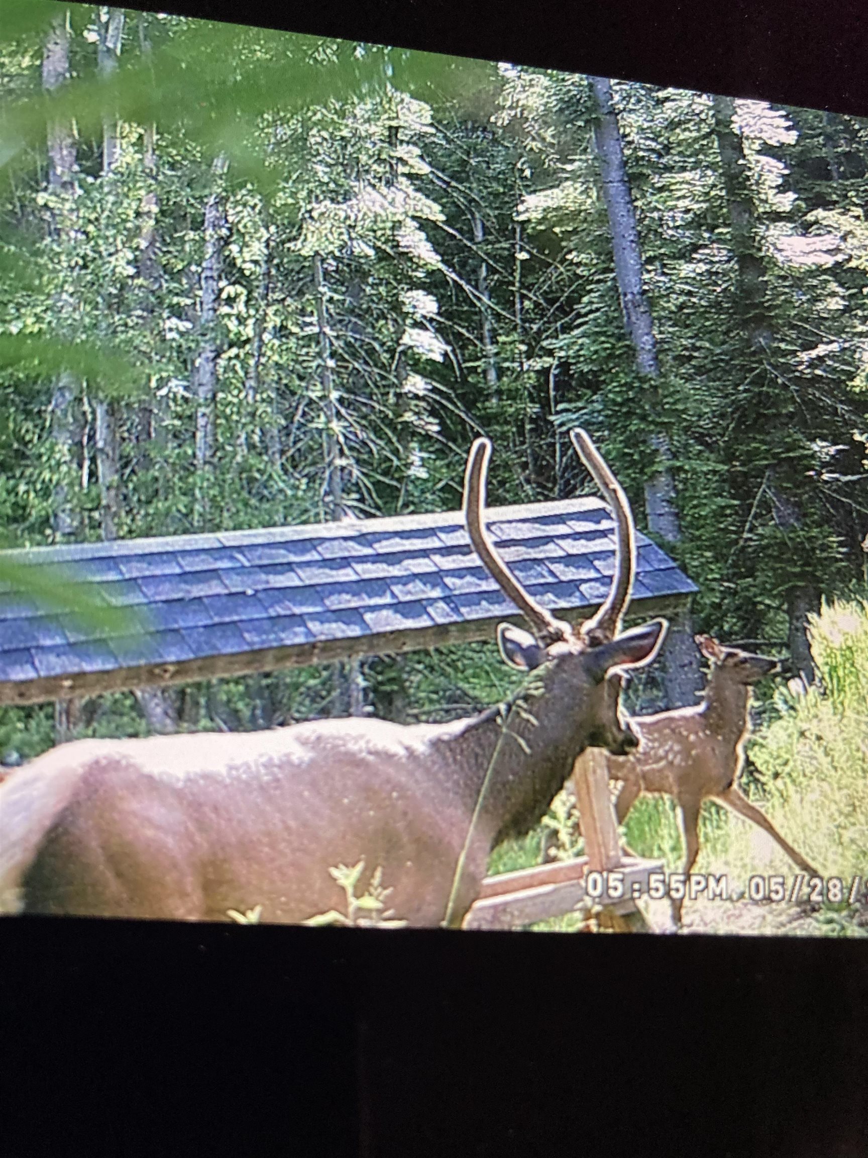 TBD Buck Creek Rd - Photo 41