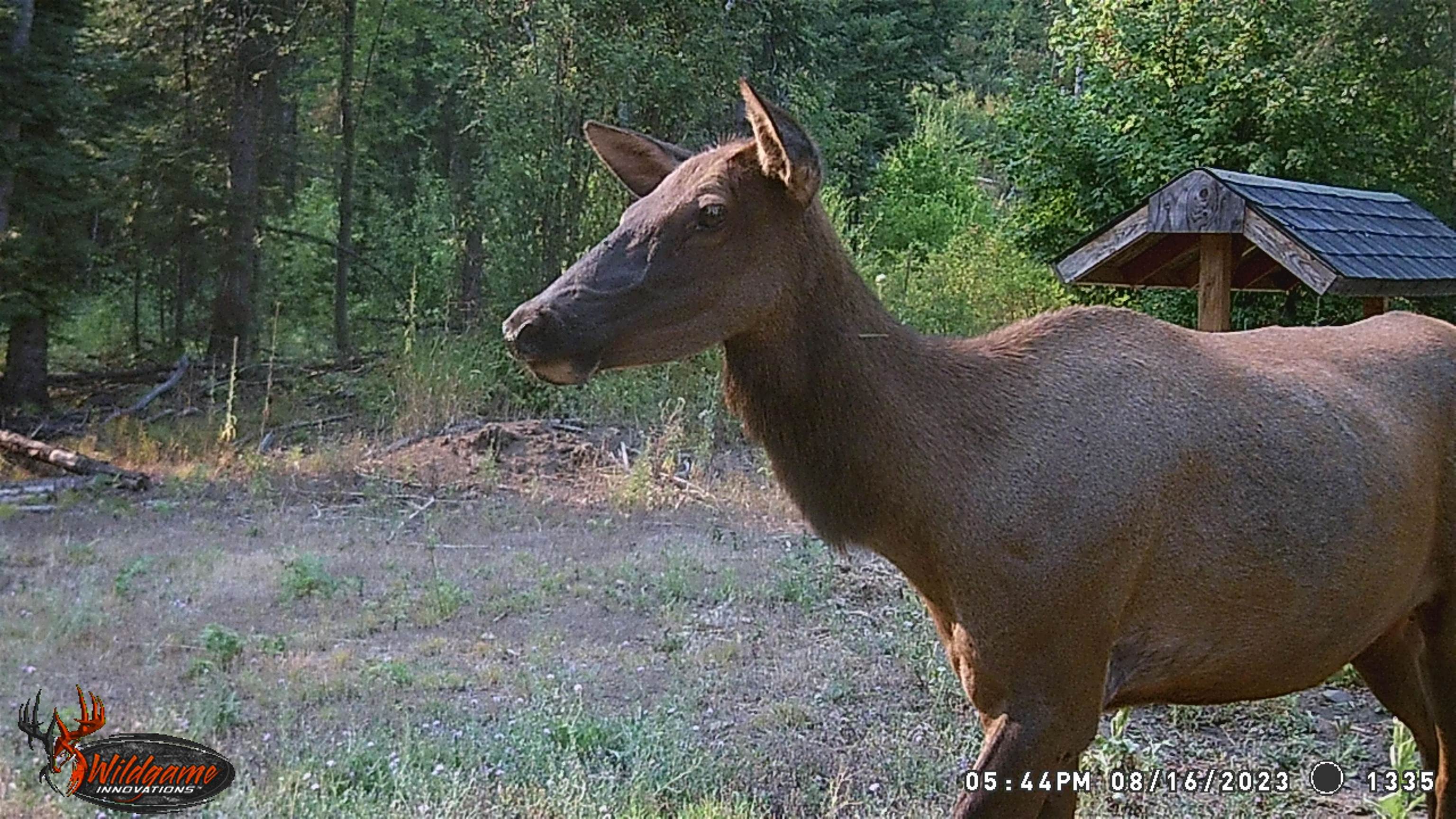 TBD Buck Creek Rd - Photo 42
