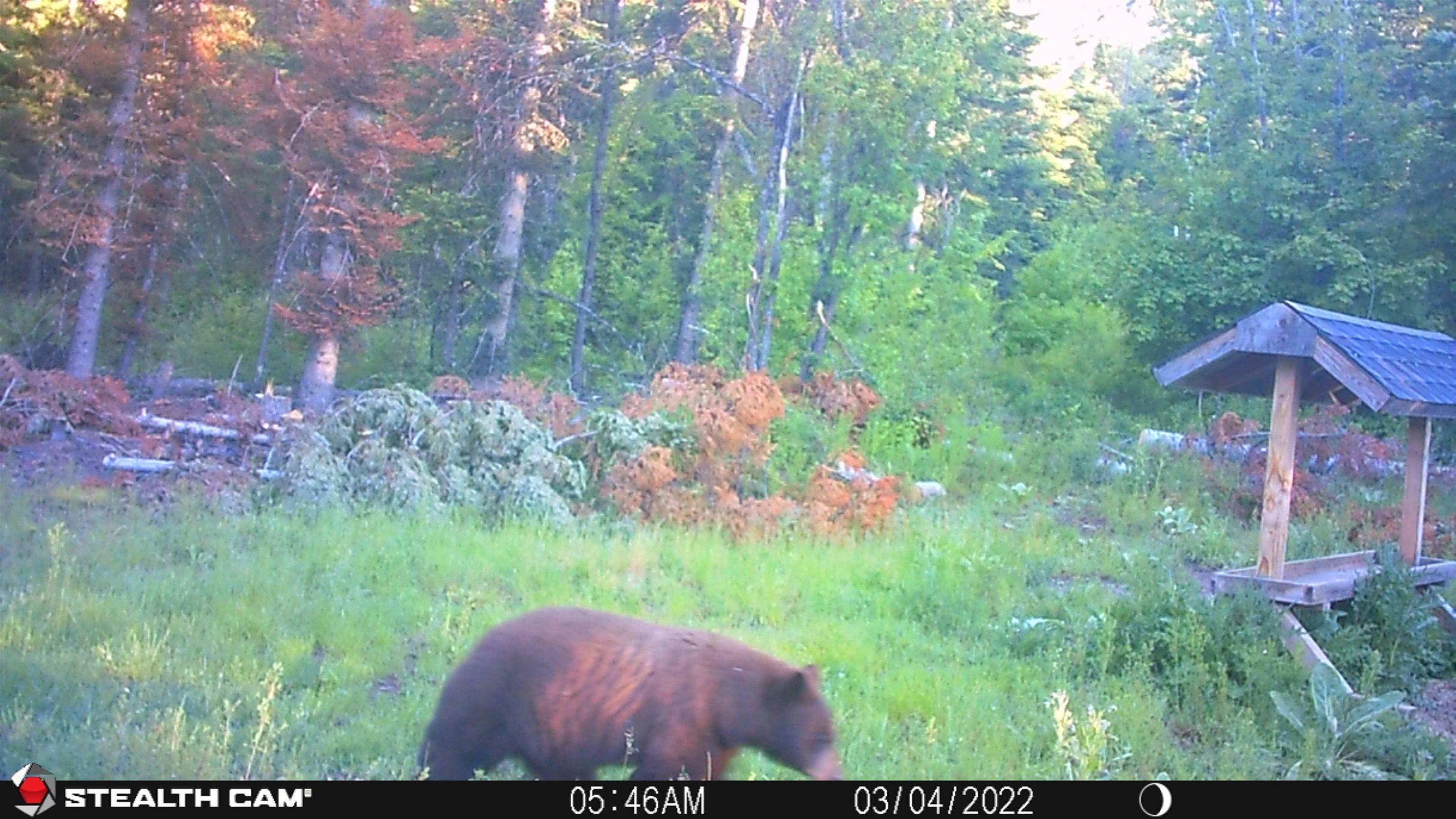 TBD Buck Creek Rd - Photo 45