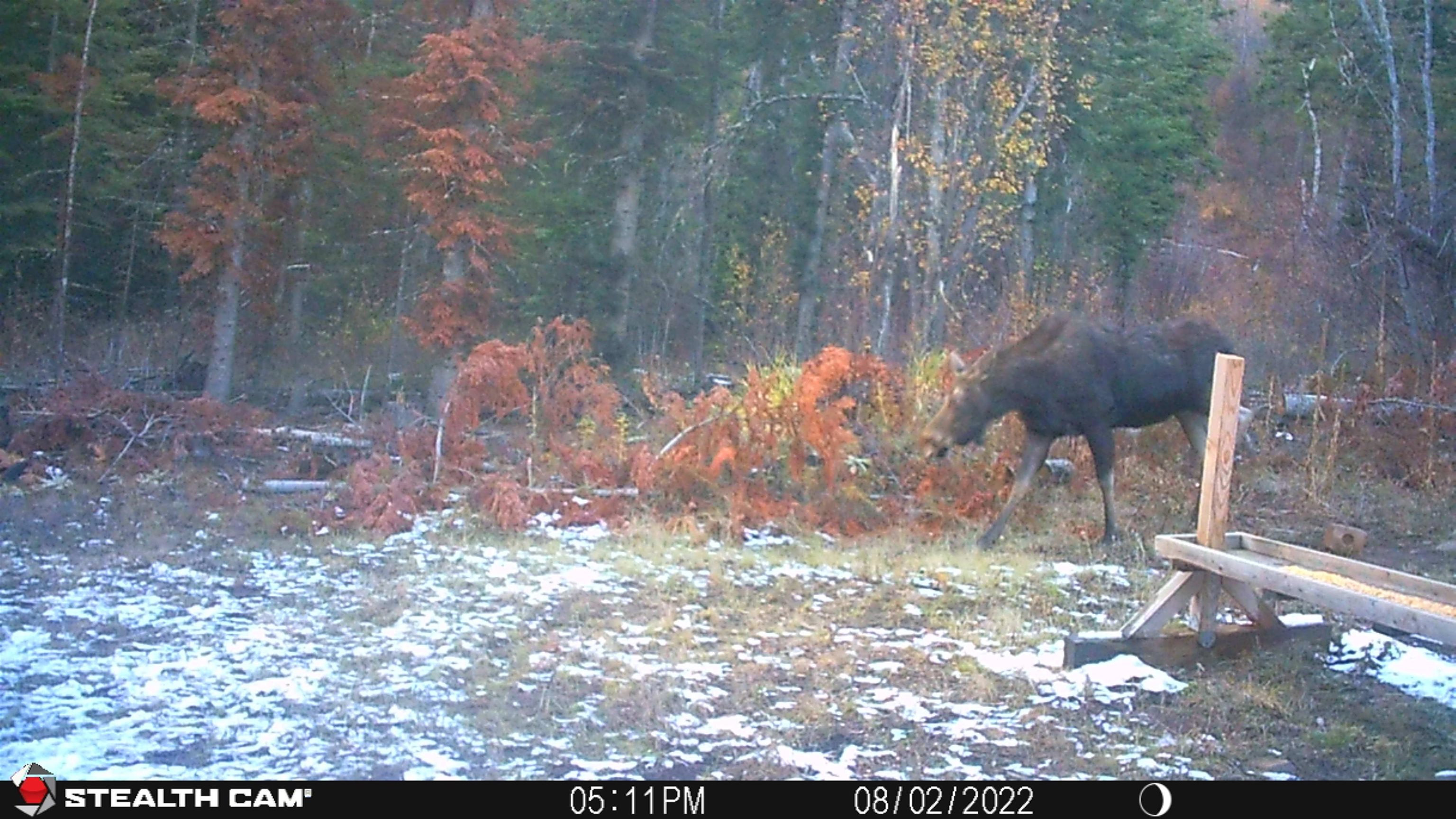 TBD Buck Creek Rd - Photo 46