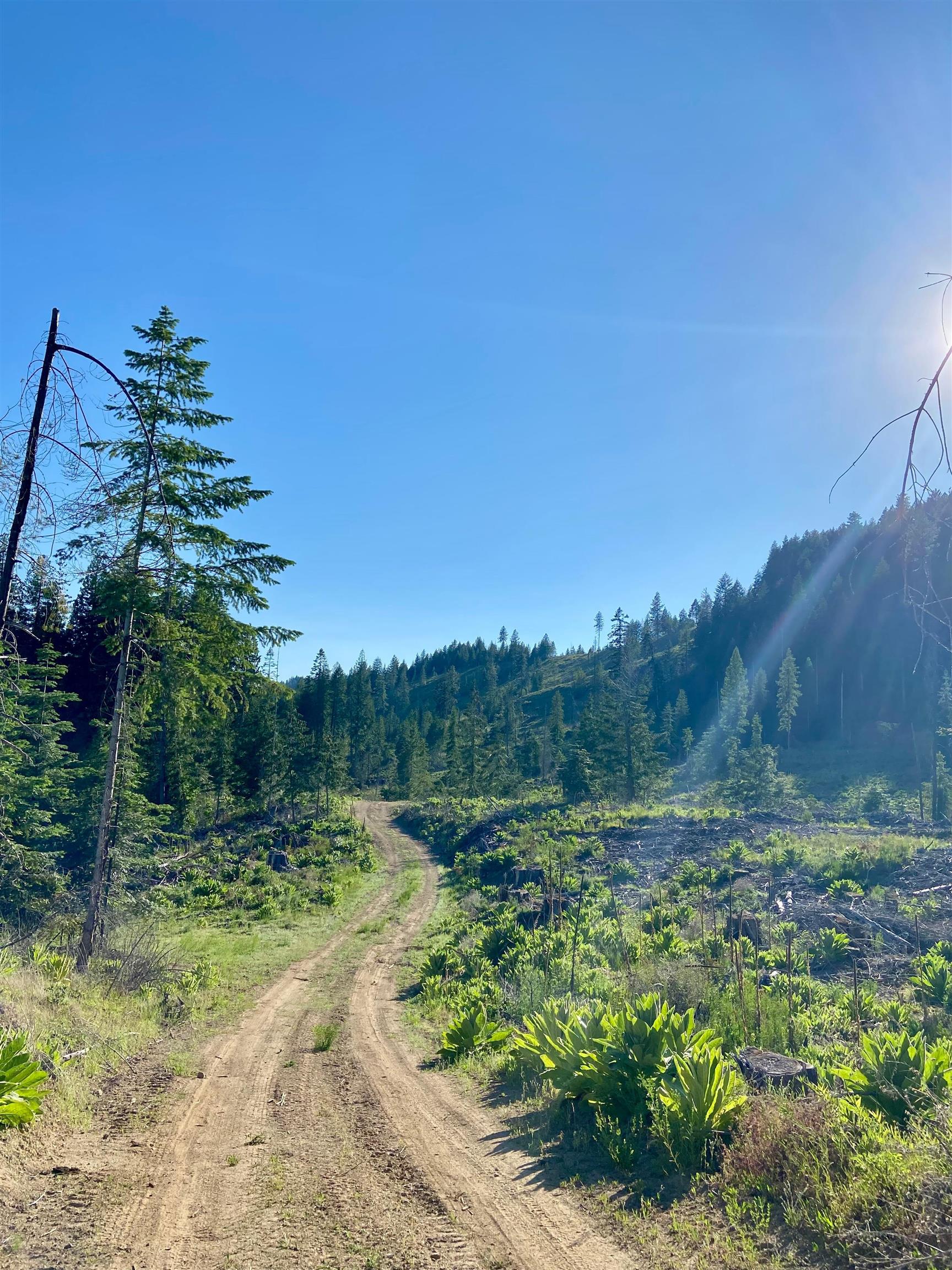 TBD Buck Creek Rd - Photo 49