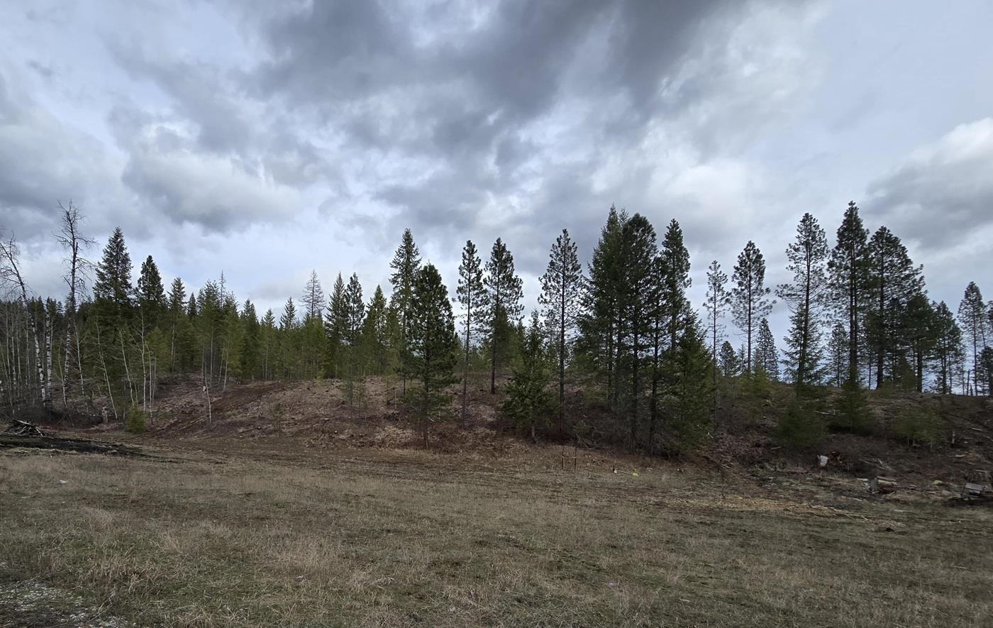 3356 N Caffel Rd - Photo 48