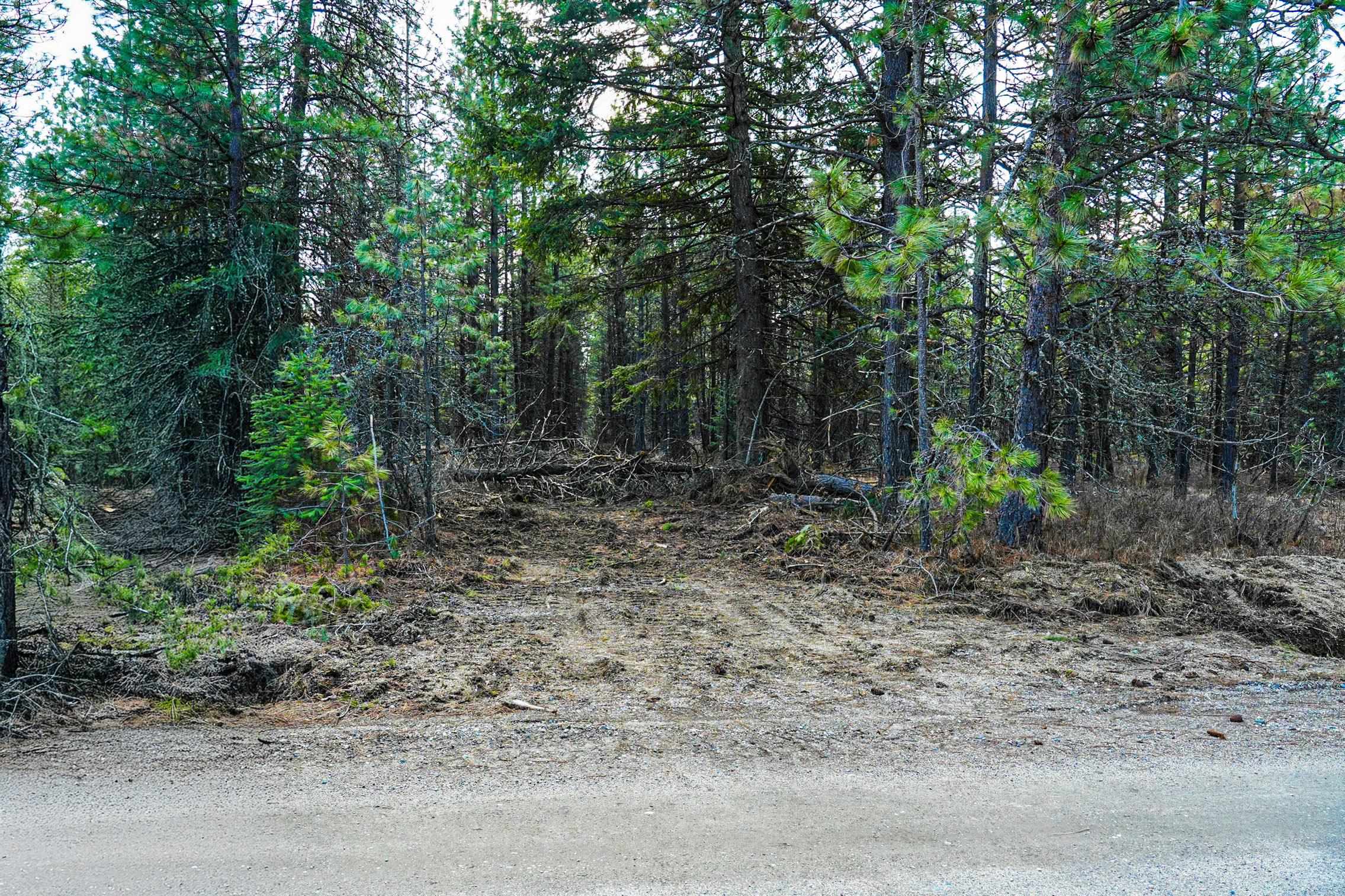 XXX E Slaton Rd - Photo 2