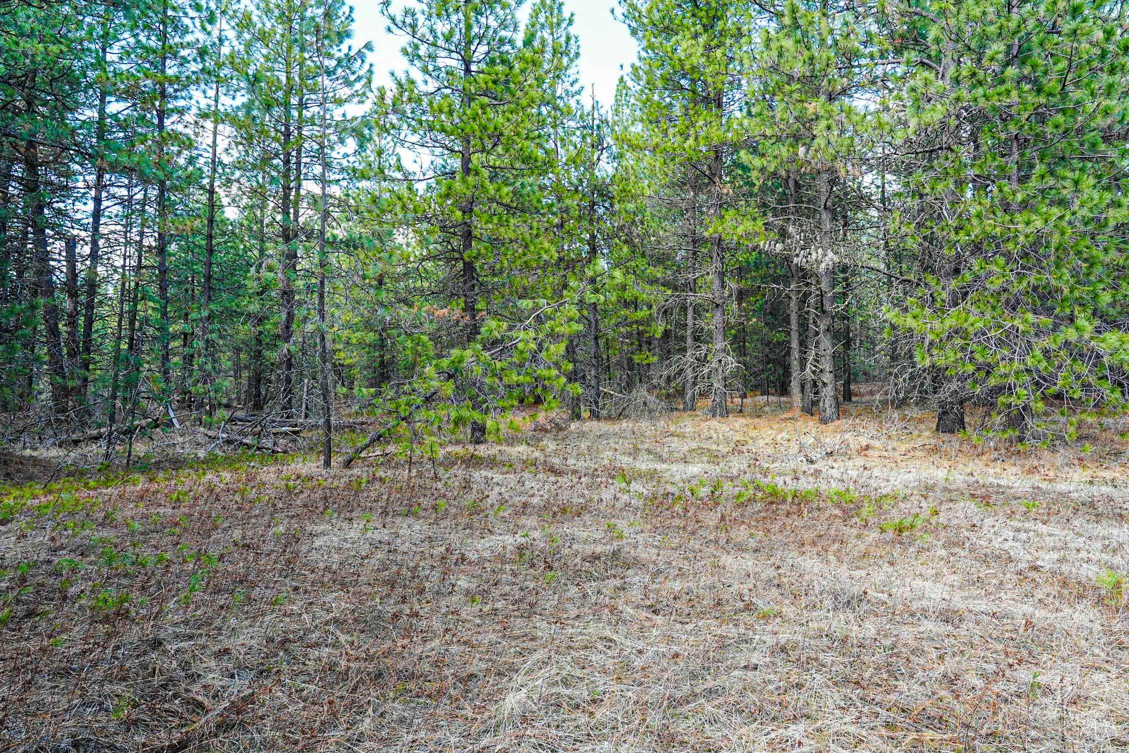 XXX E Slaton Rd - Photo 14