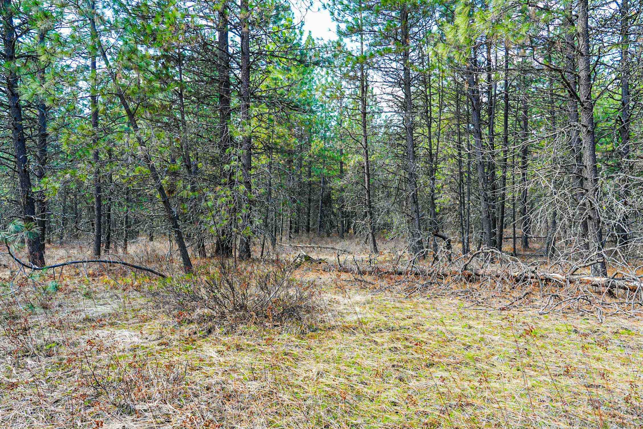 XXX E Slaton Rd - Photo 15