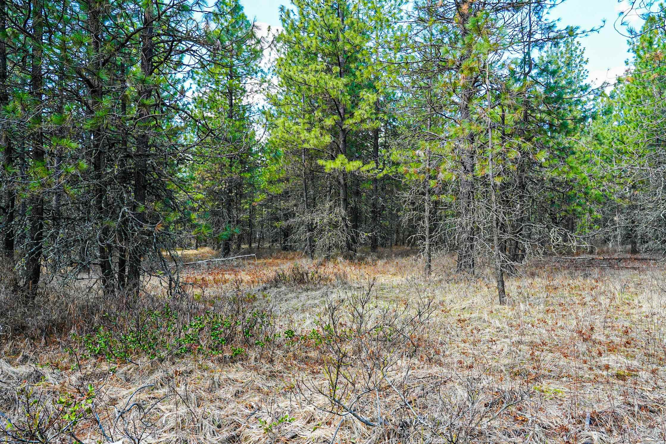 XXX E Slaton Rd - Photo 20