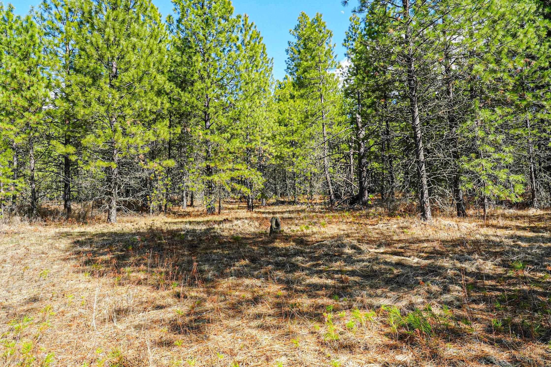 XXX E Slaton Rd - Photo 22