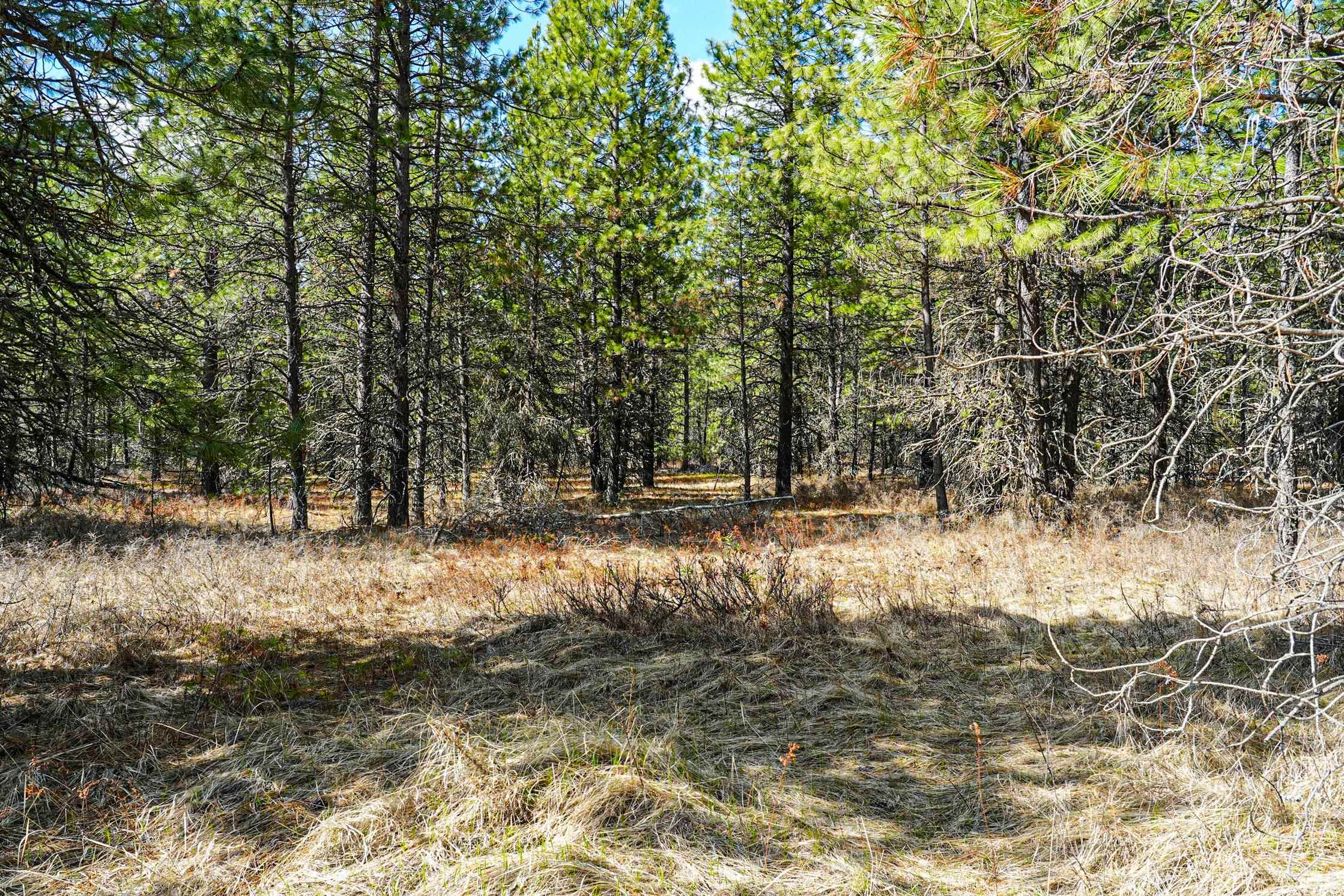 XXX E Slaton Rd - Photo 6