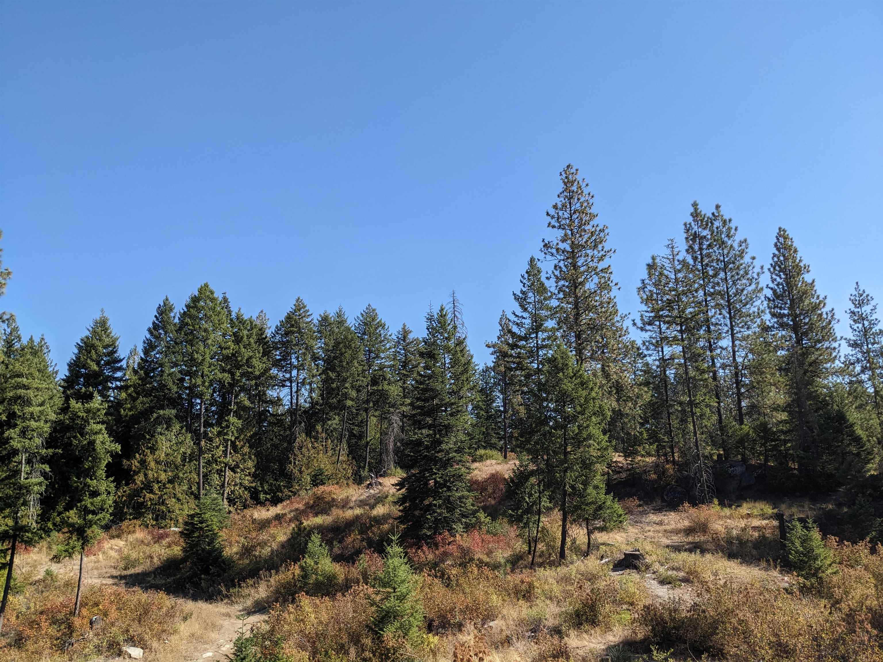NKN Lot 1 Veit Rd - Photo 12