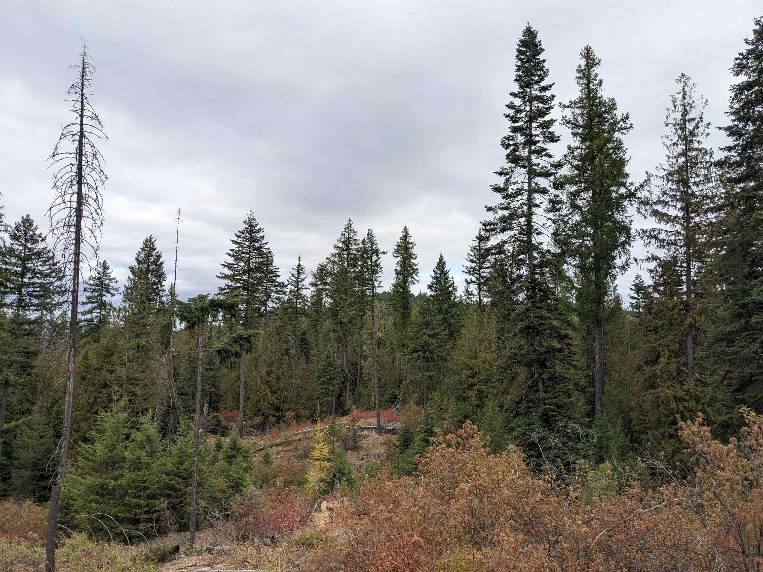NKN Lot 1 Veit Rd - Photo 14
