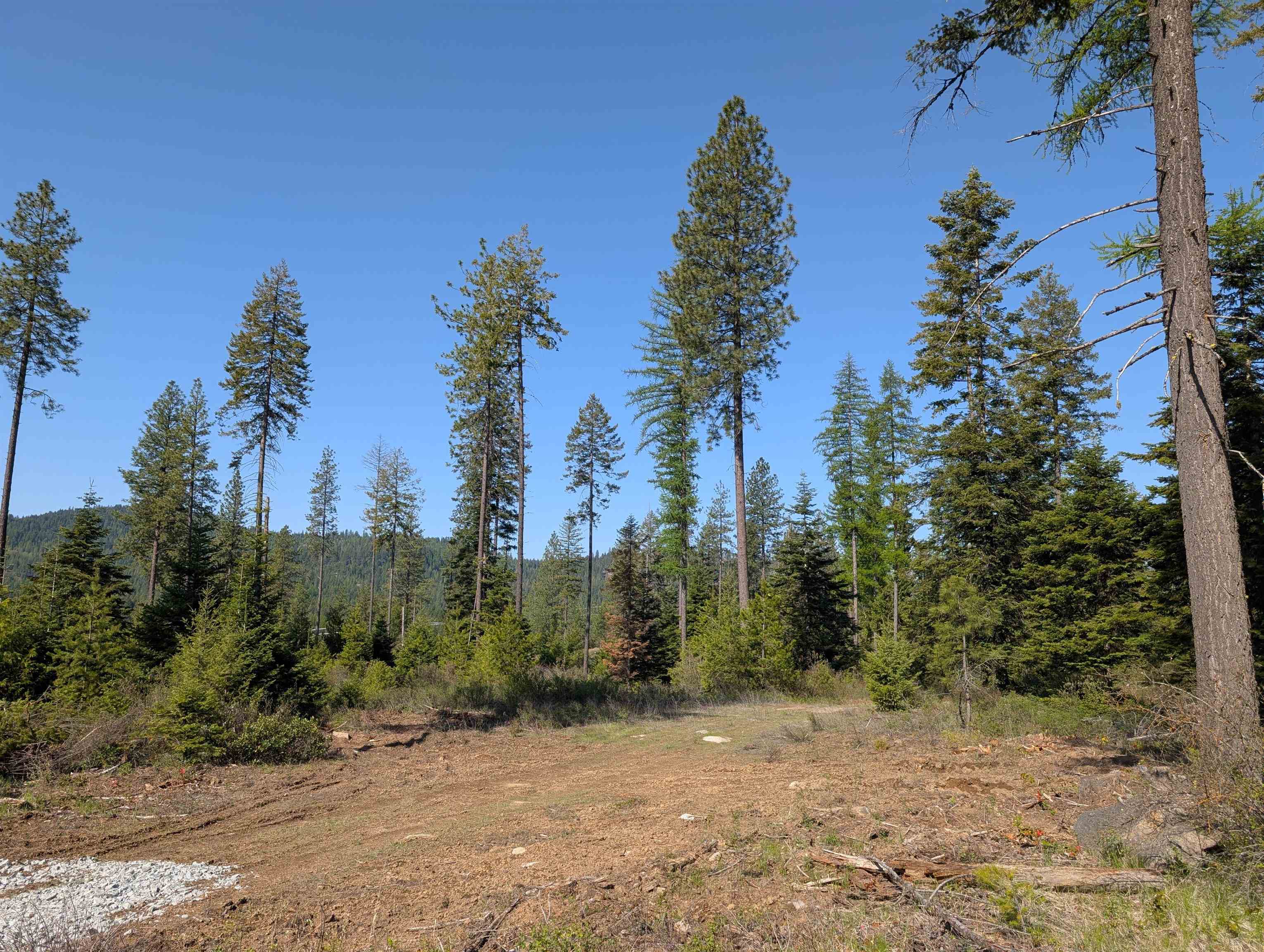 NKN Lot 1 Veit Rd - Photo 17
