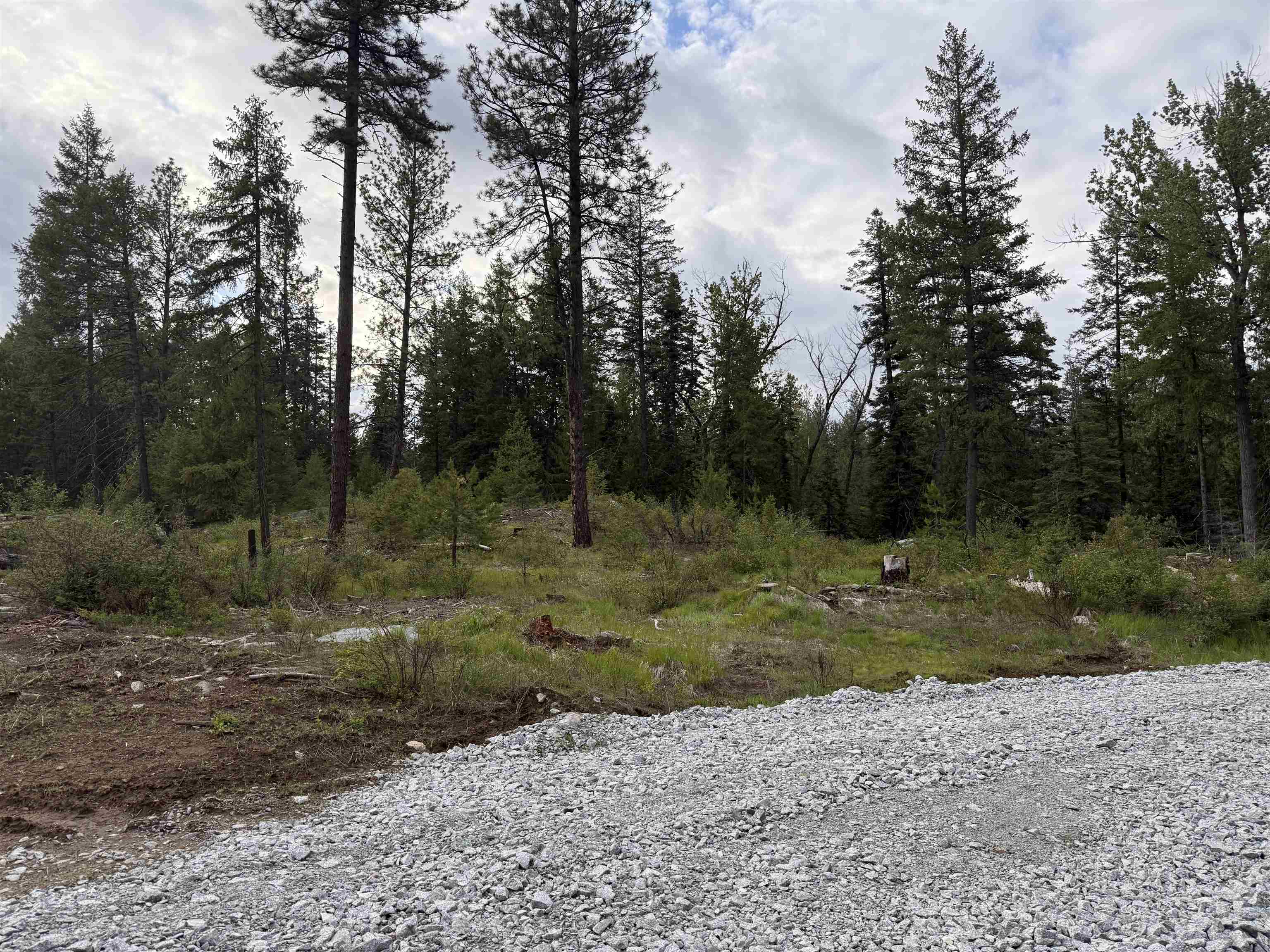 NKN Lot 1 Veit Rd - Photo 3
