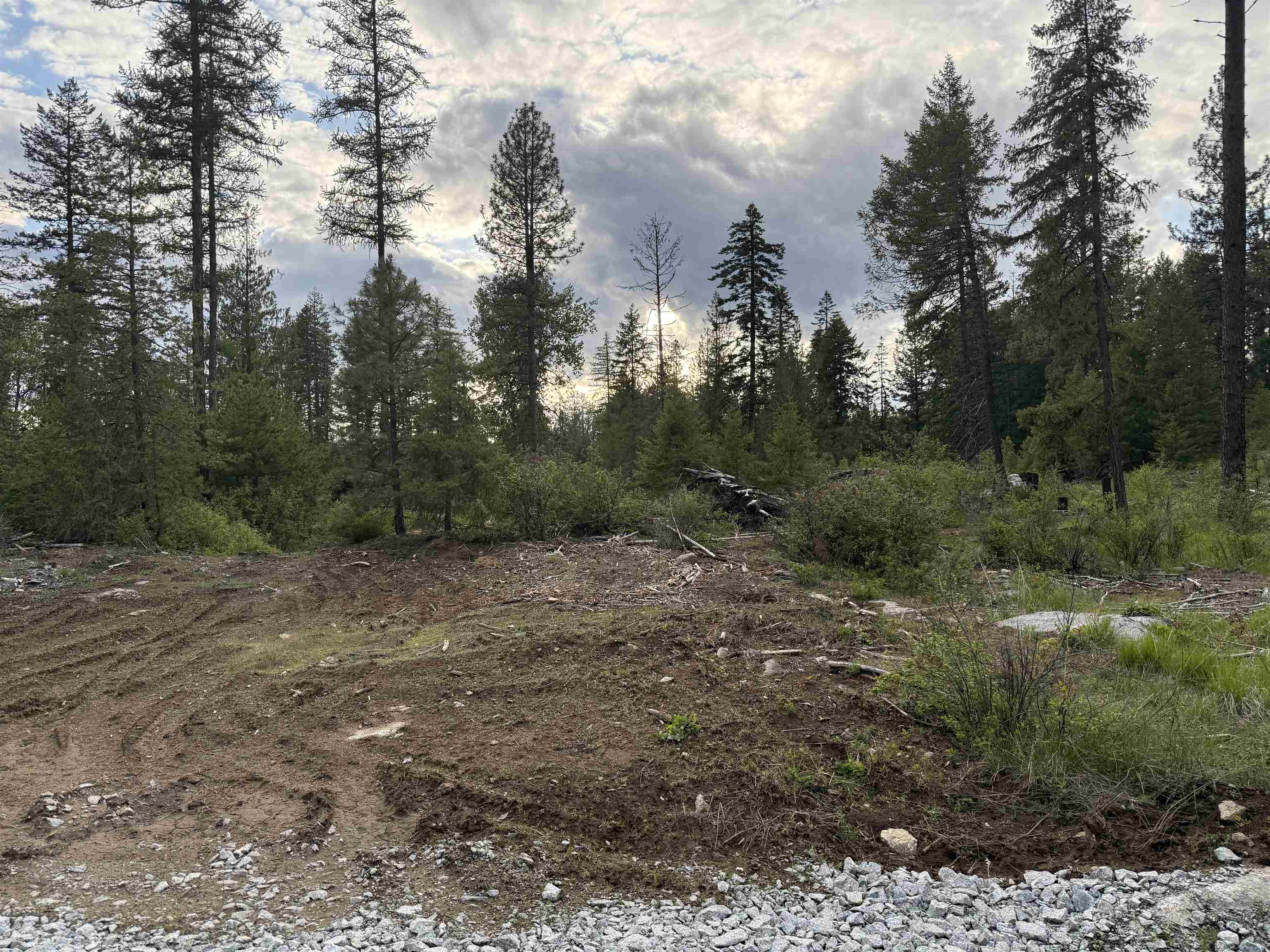 NKN Lot 1 Veit Rd - Photo 4