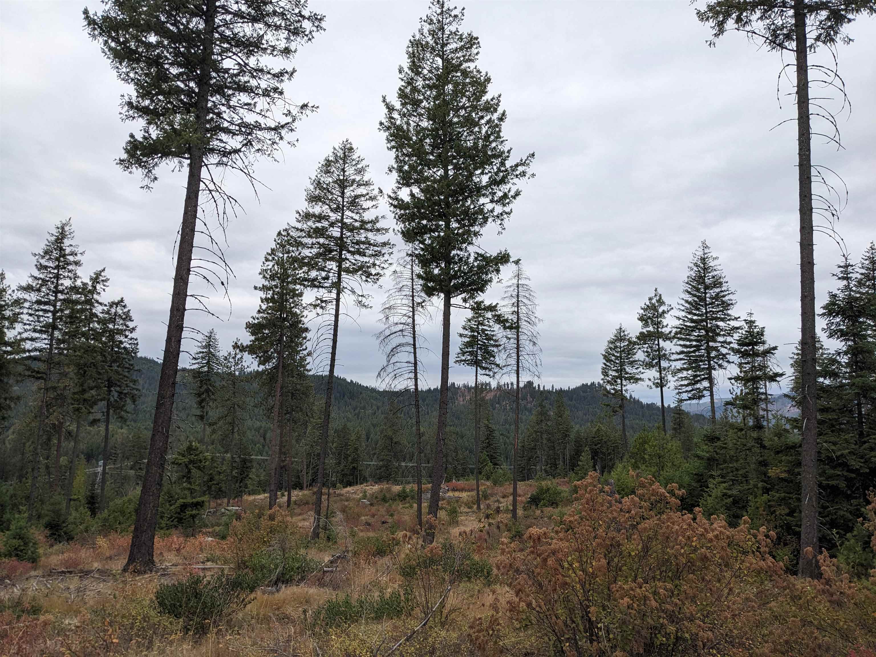 NKN Lot 2 Veit Rd - Photo 12