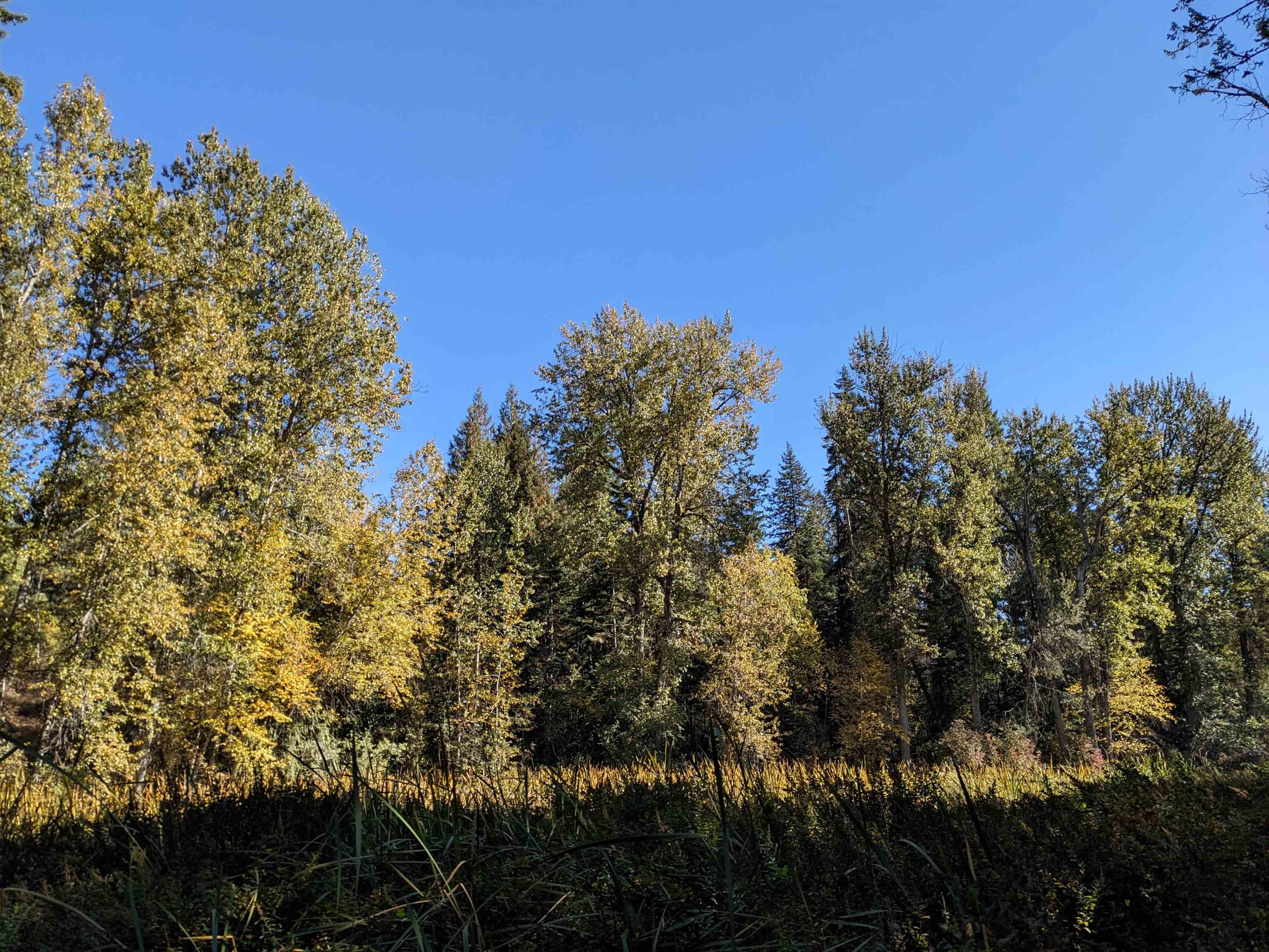 NKN Lot 2 Veit Rd - Photo 15