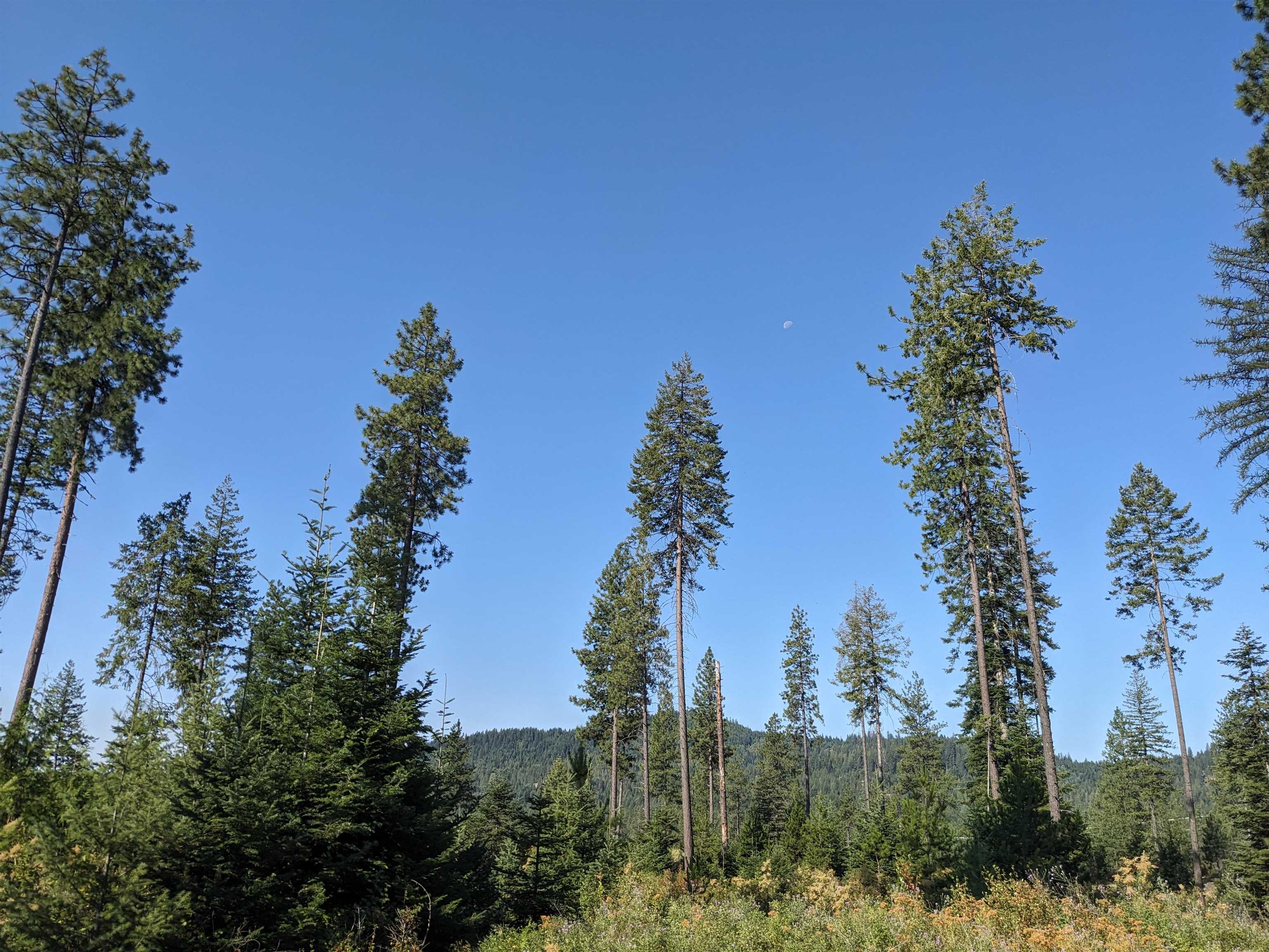 NKN Lot 2 Veit Rd - Photo 6