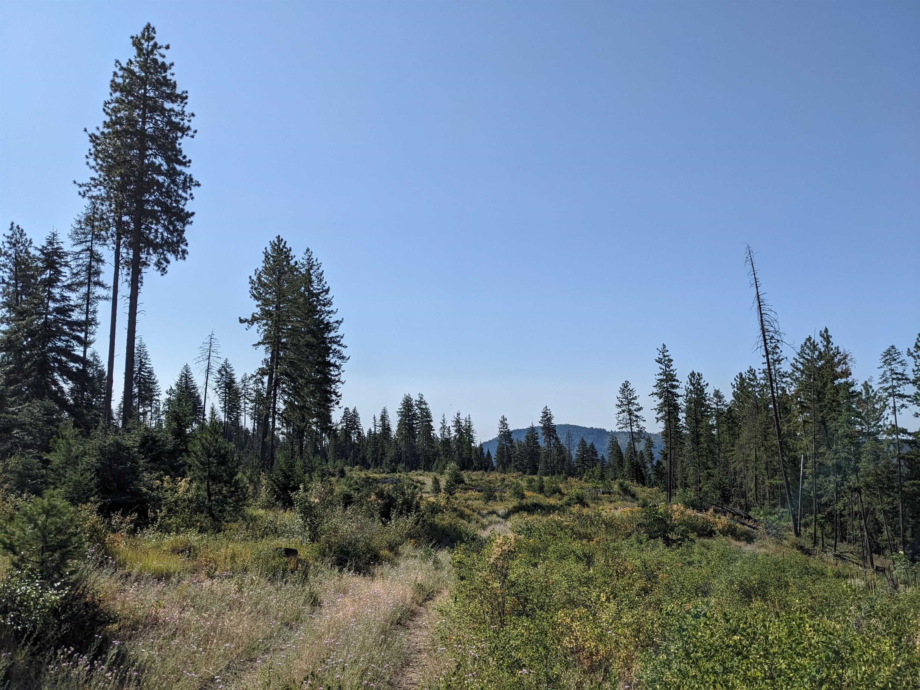 NKN Lot 2 Veit Rd - Photo 7