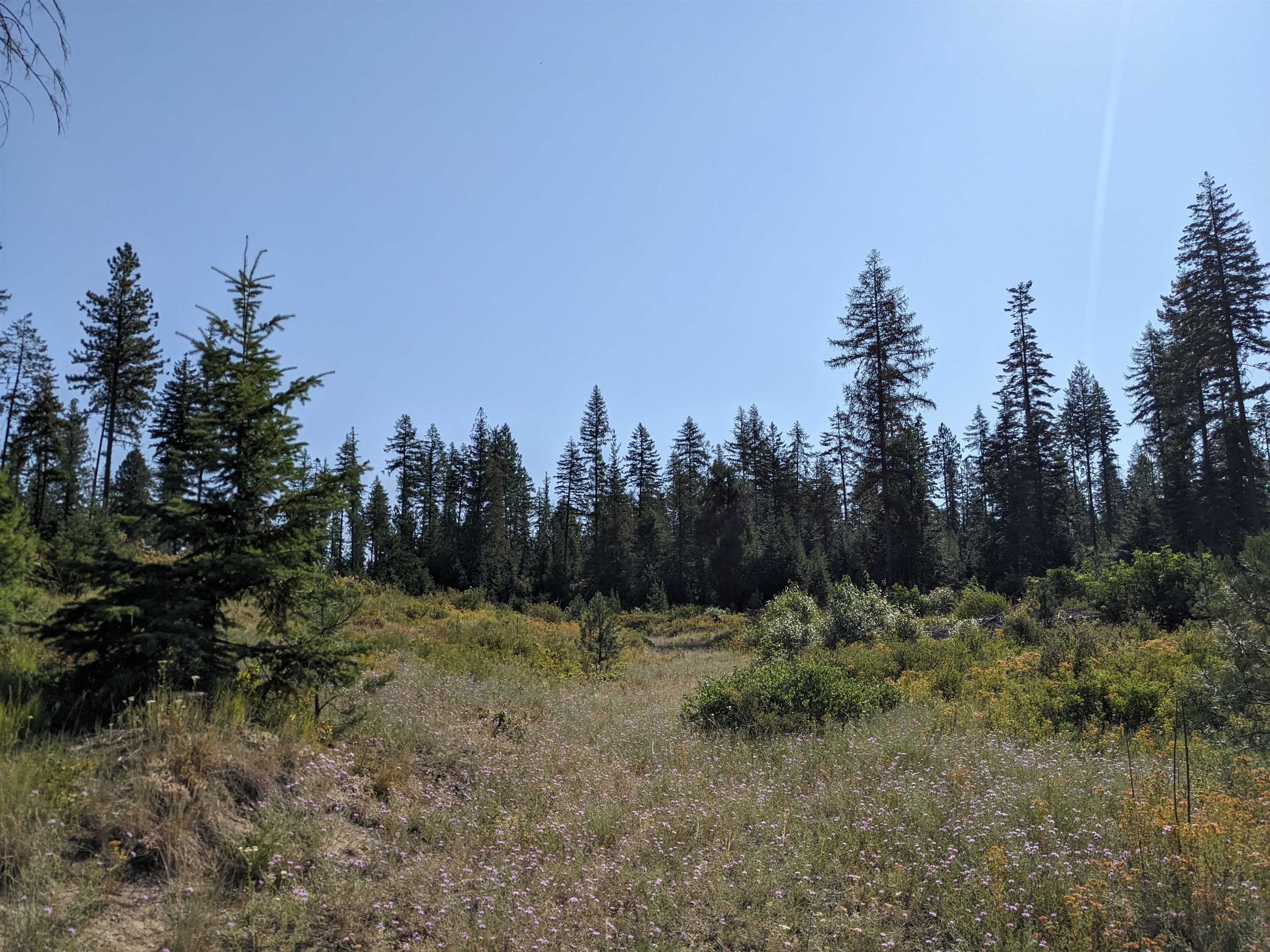NKN Lot 2 Veit Rd - Photo 8
