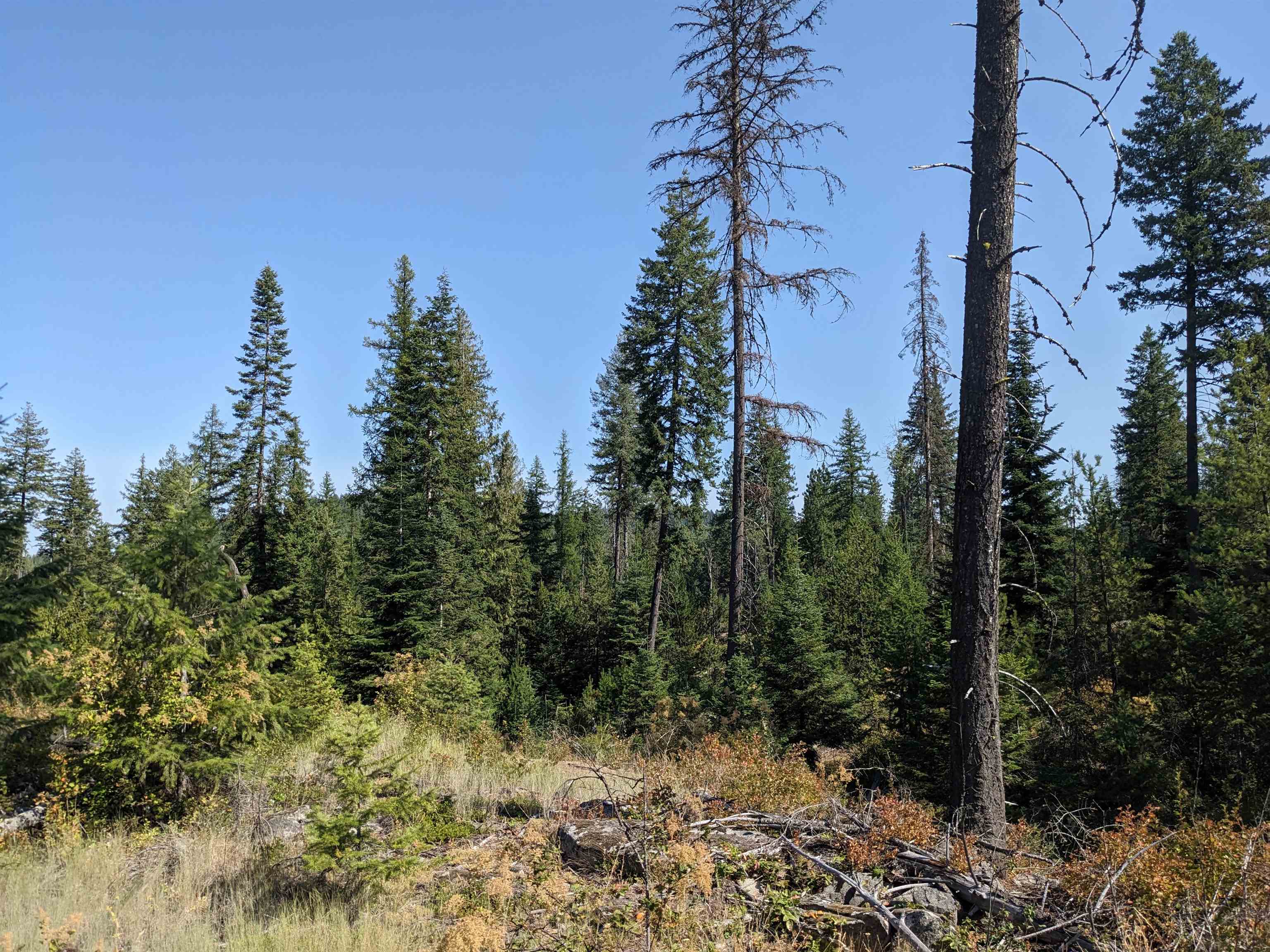 NKN Lot 2 Veit Rd - Photo 9