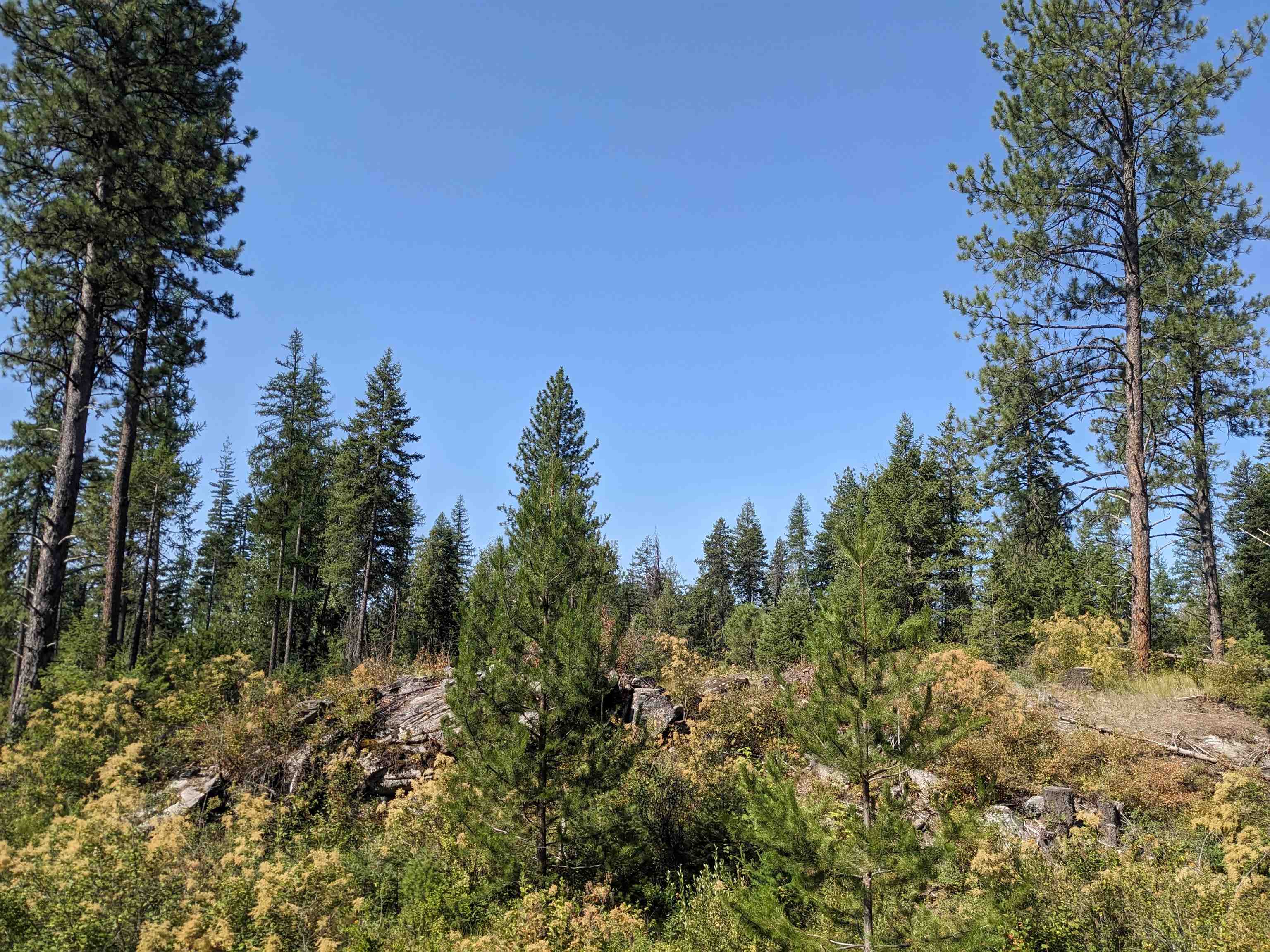 NKN Lot 2 Veit Rd - Photo 10