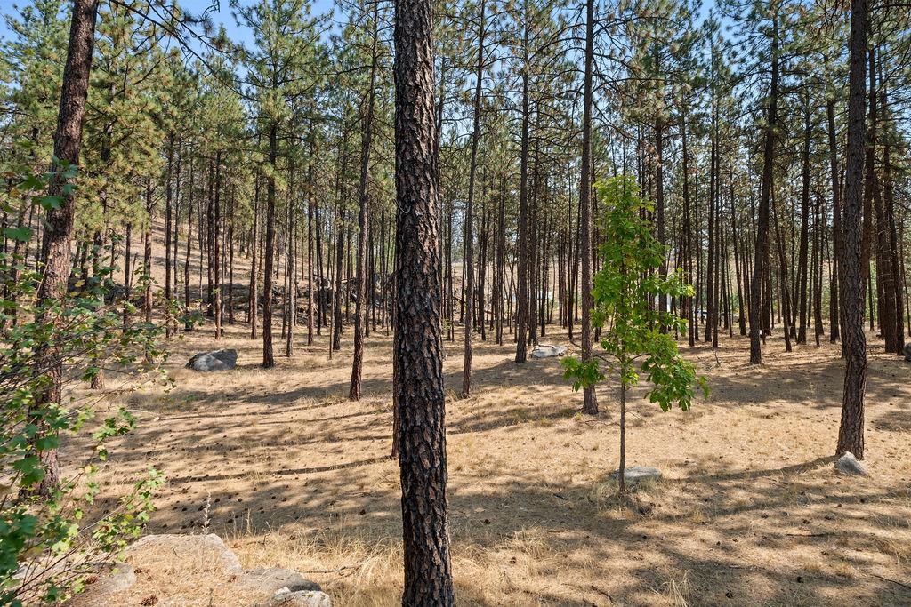 12620 N Nine Mile Rd - Photo 40