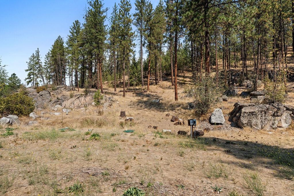 12620 N Nine Mile Rd - Photo 42