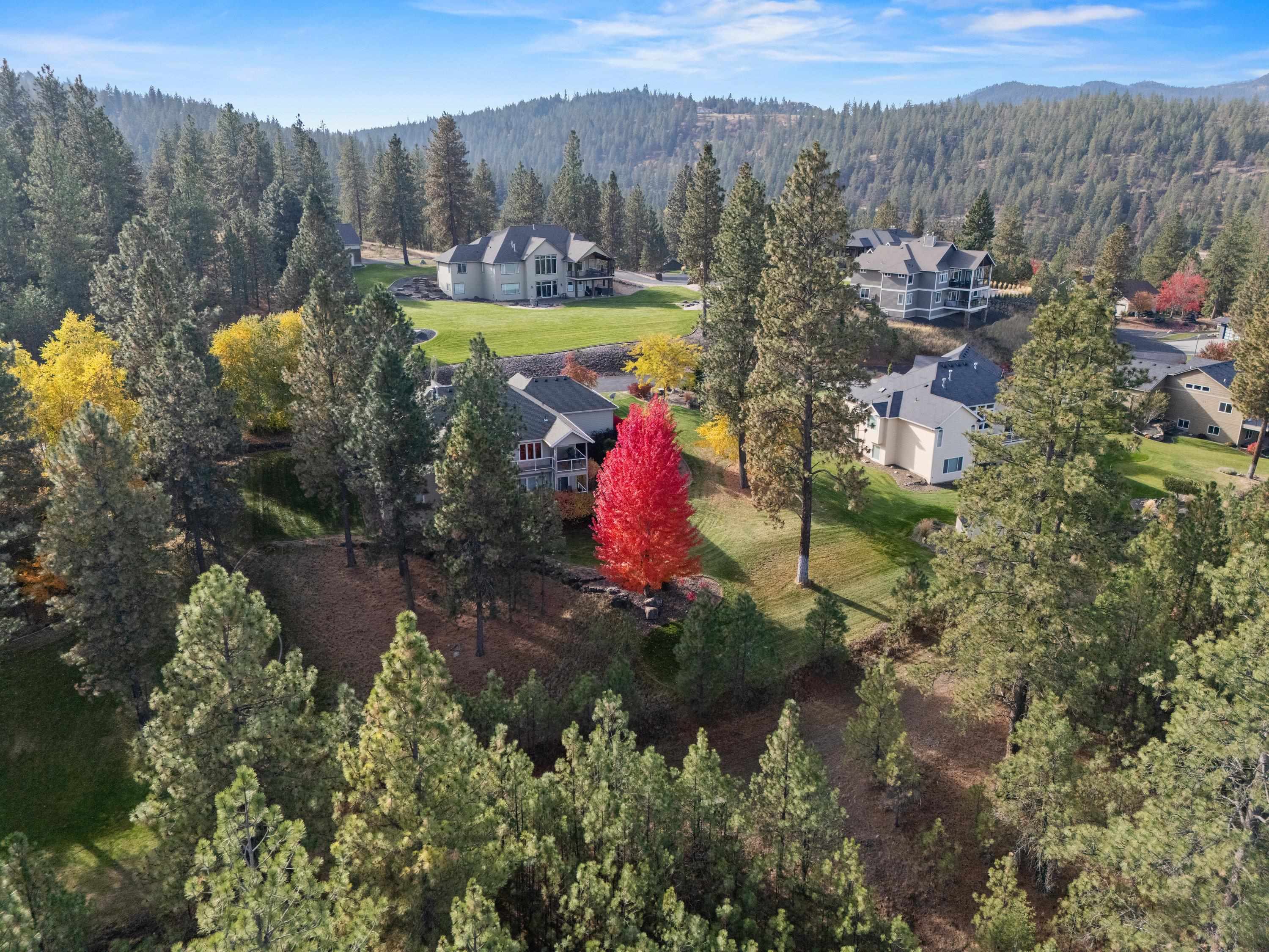 13821 E Bellessa Ln - Photo 47