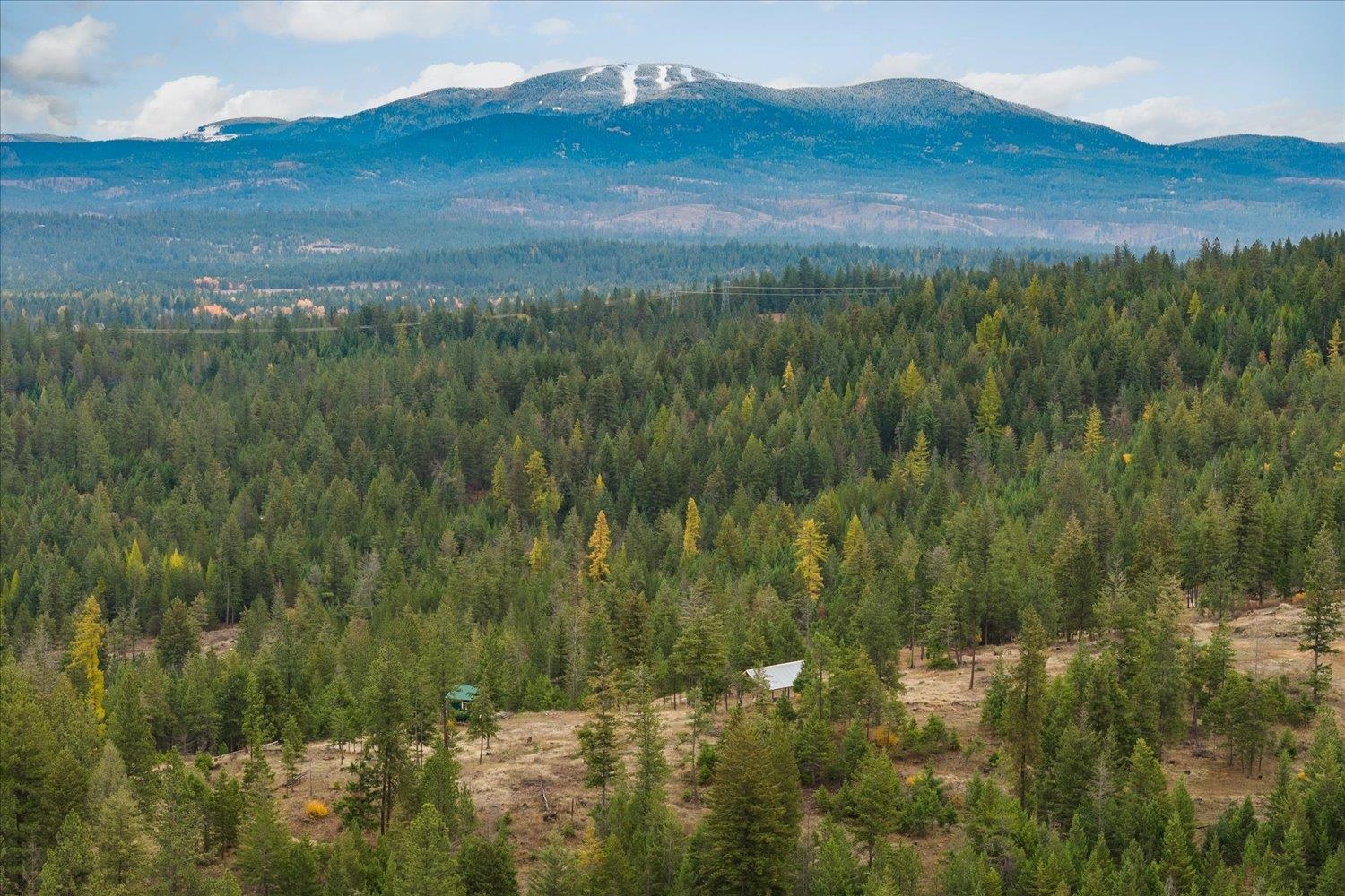 36022 N Milan-Elk Rd - Photo 1