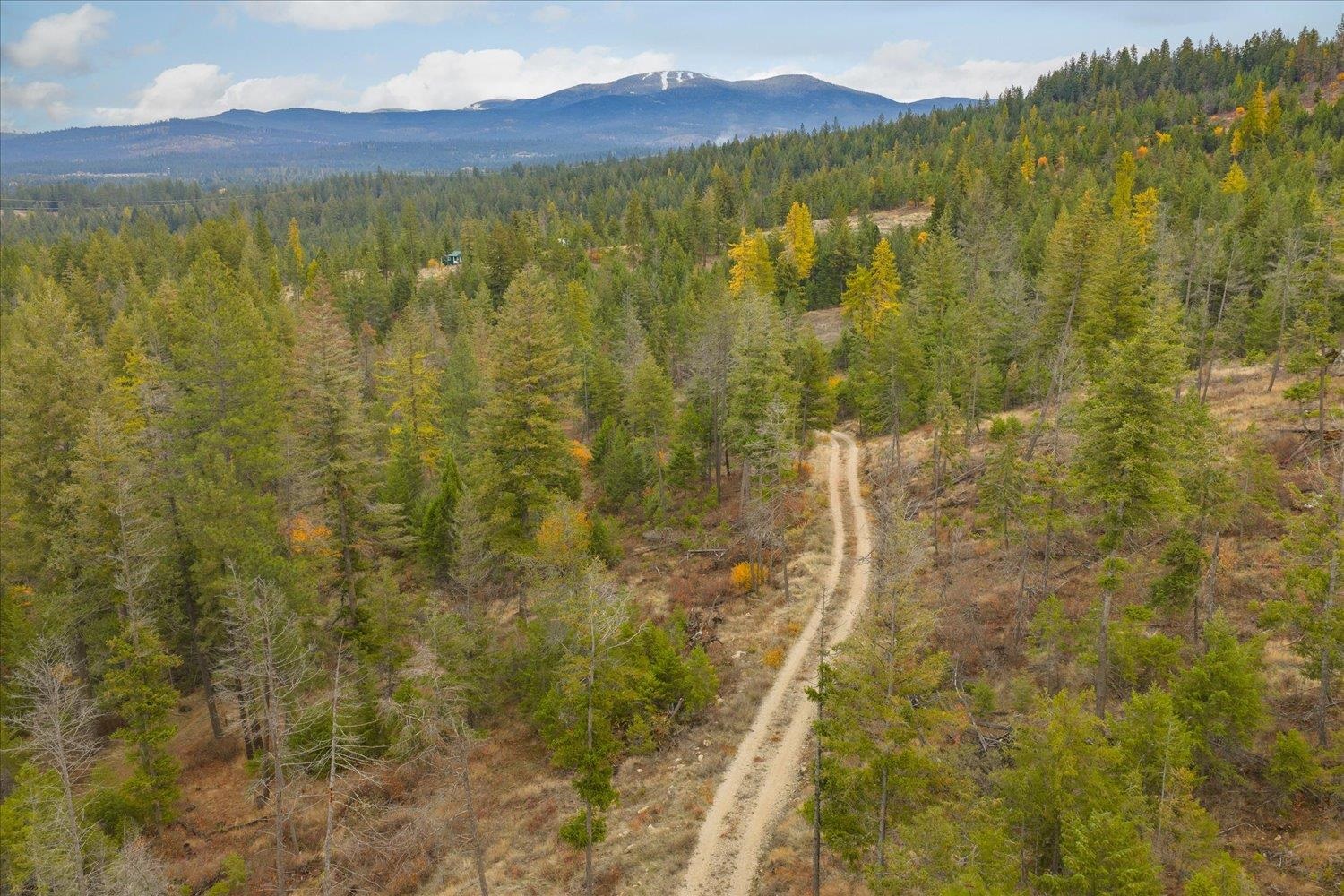 36022 N Milan-Elk Rd - Photo 2