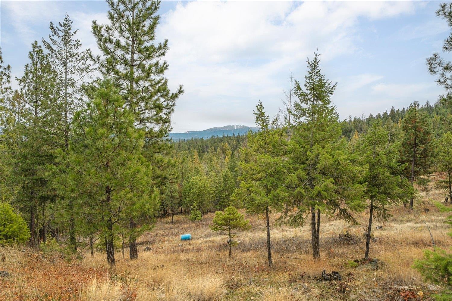 36022 N Milan-Elk Rd - Photo 11