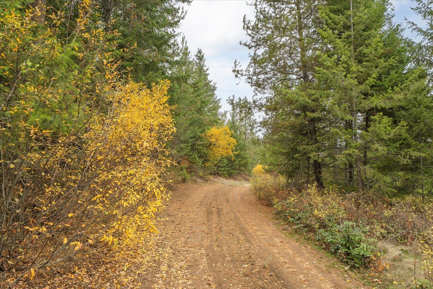 36022 N Milan-Elk Rd - Photo 12
