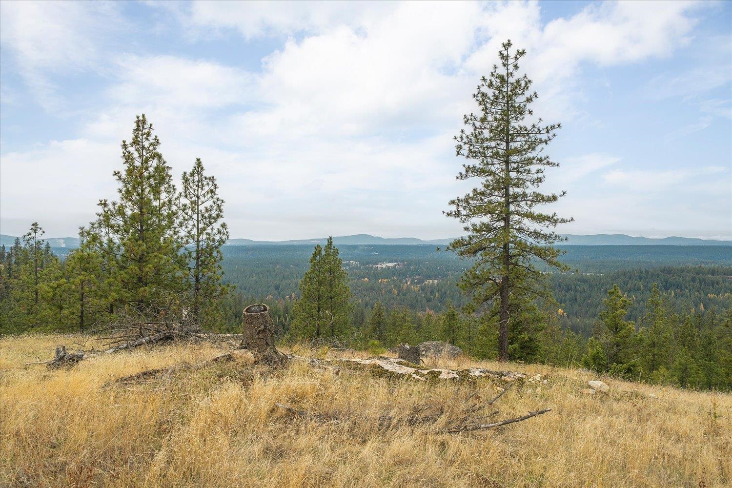 36022 N Milan-Elk Rd - Photo 13