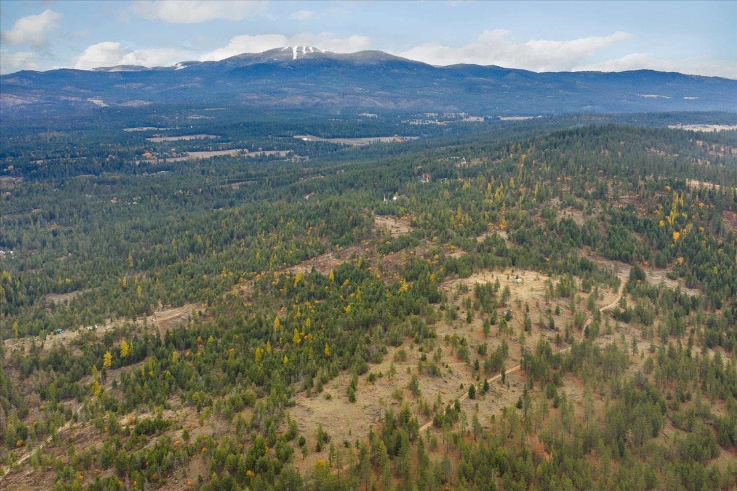 36022 N Milan-Elk Rd - Photo 29