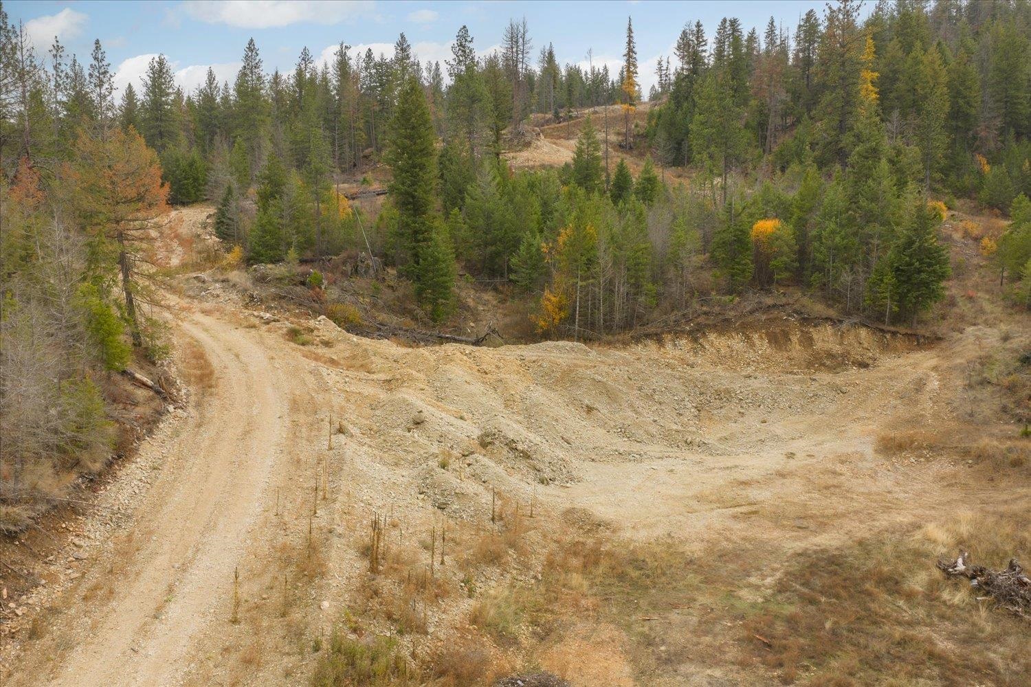 36022 N Milan-Elk Rd - Photo 35