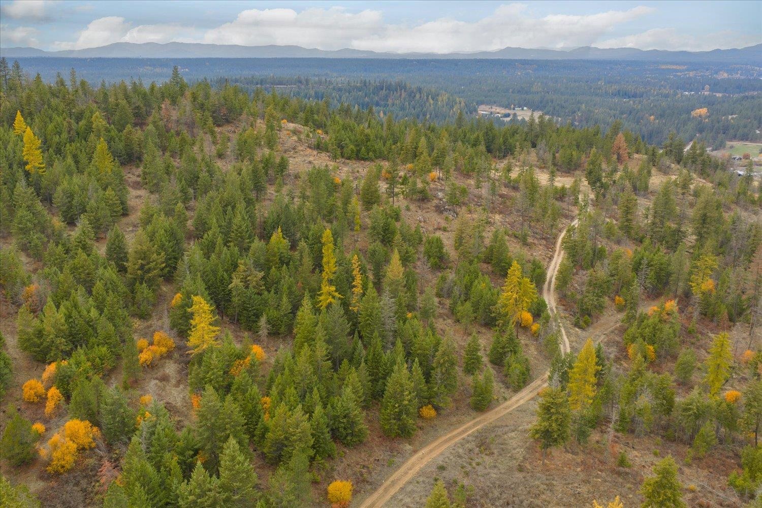 36022 N Milan-Elk Rd - Photo 37