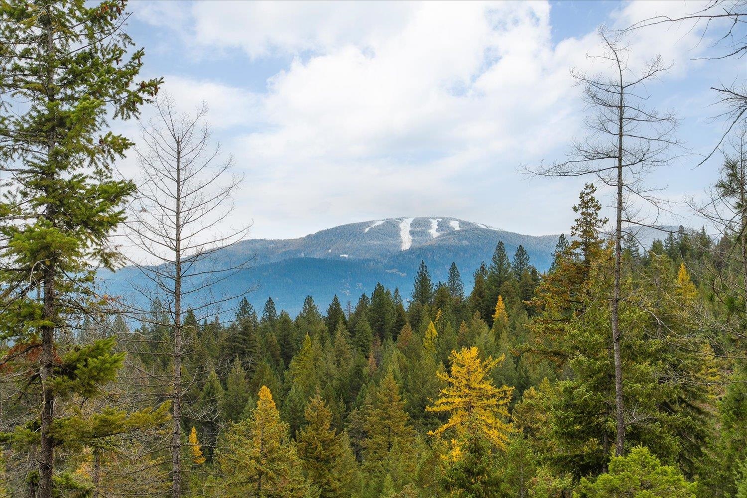 36022 N Milan-Elk Rd - Photo 5