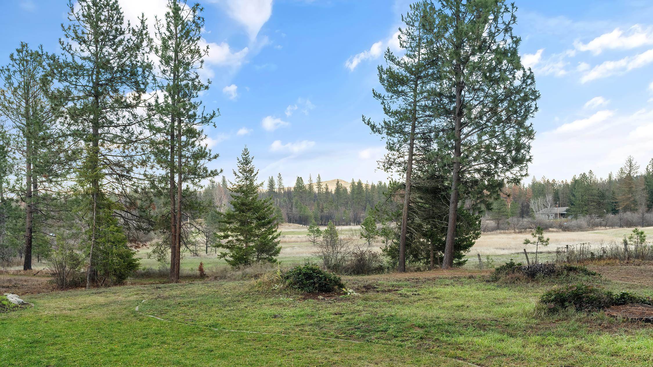 12621 E Blanchard Rd - Photo 40