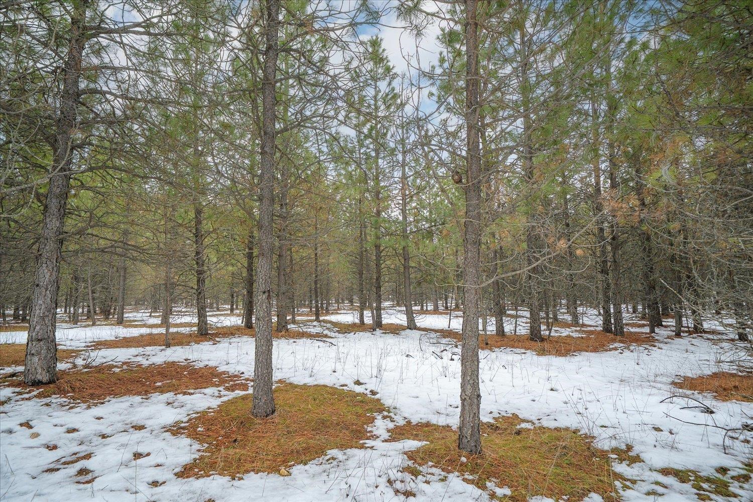 3888 Powers Rd - Photo 39