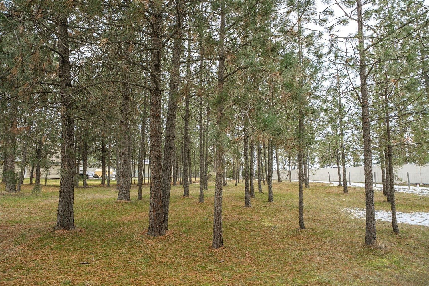 5885 Sandy Court Rd - Photo 41