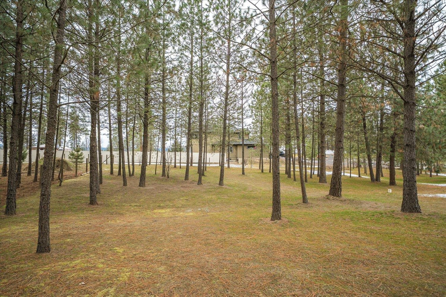 5885 Sandy Court Rd - Photo 43