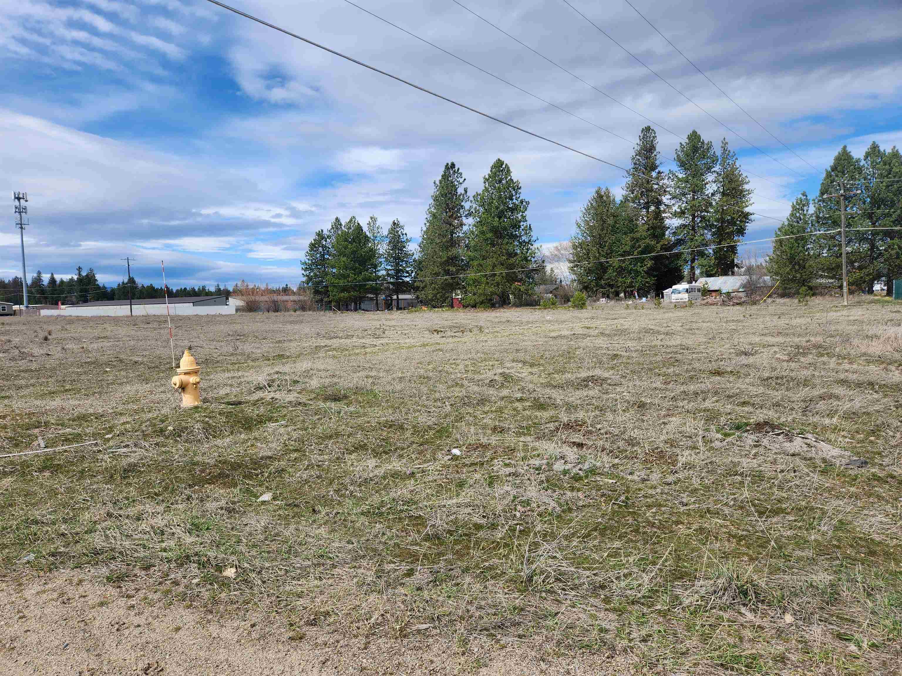 TBD S Main St - Photo 4