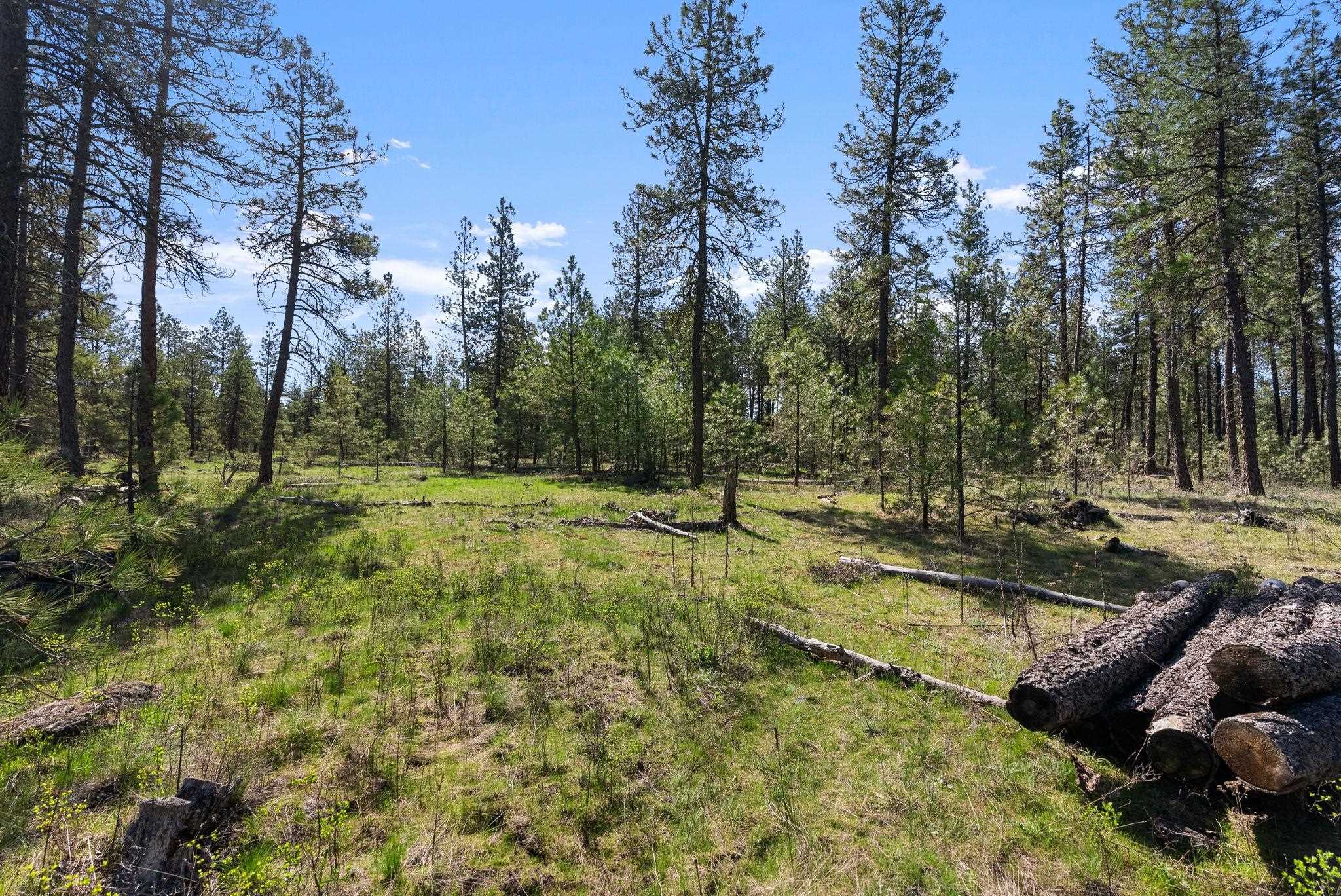 5306 W Curtis Rd - Photo 18