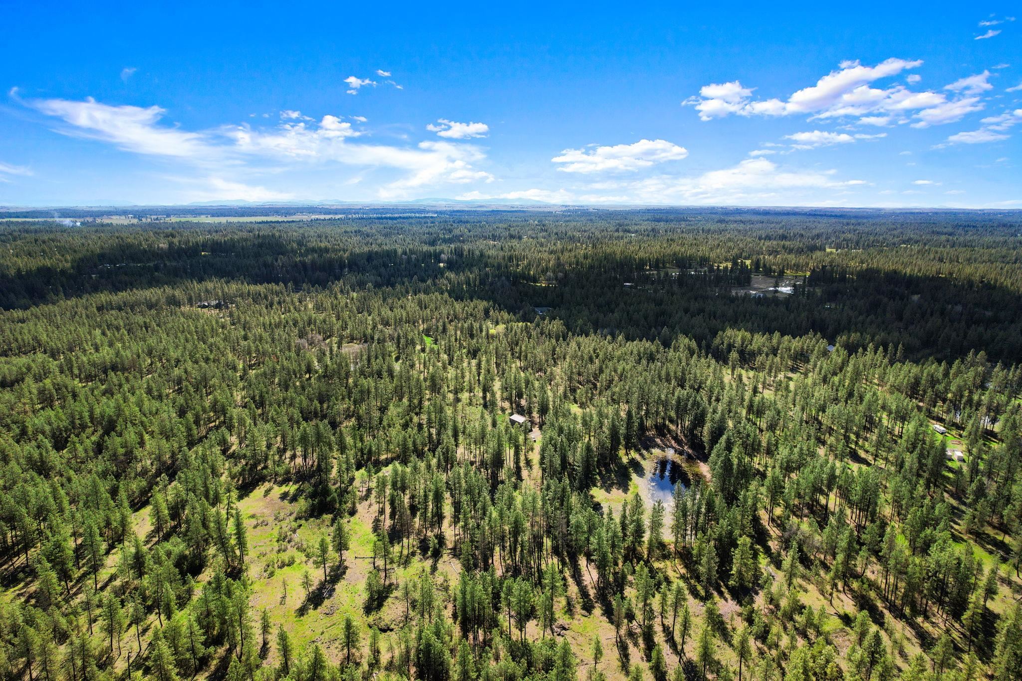 5306 W Curtis Rd - Photo 25