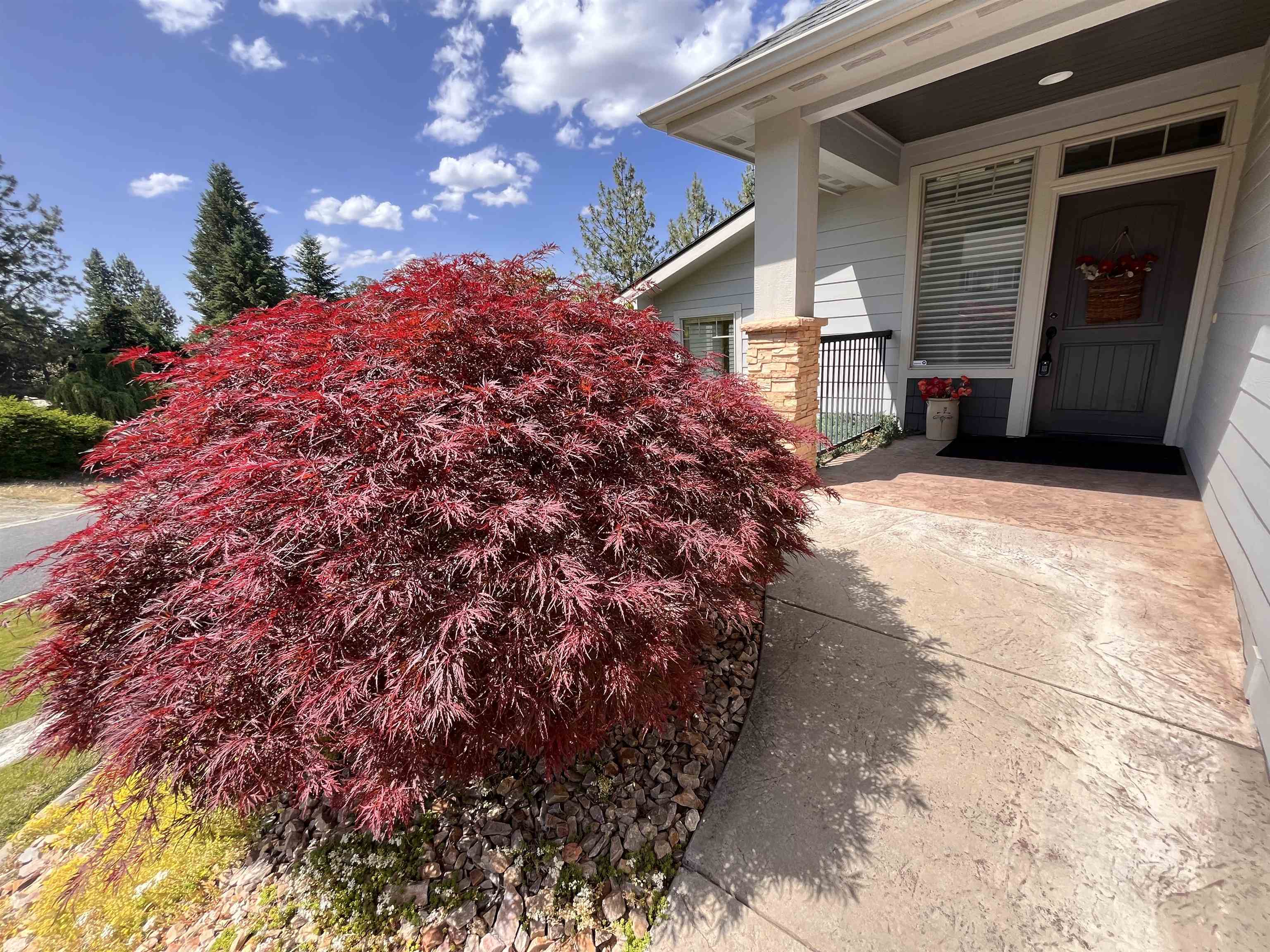 10532 EDNA Ln - Photo 46