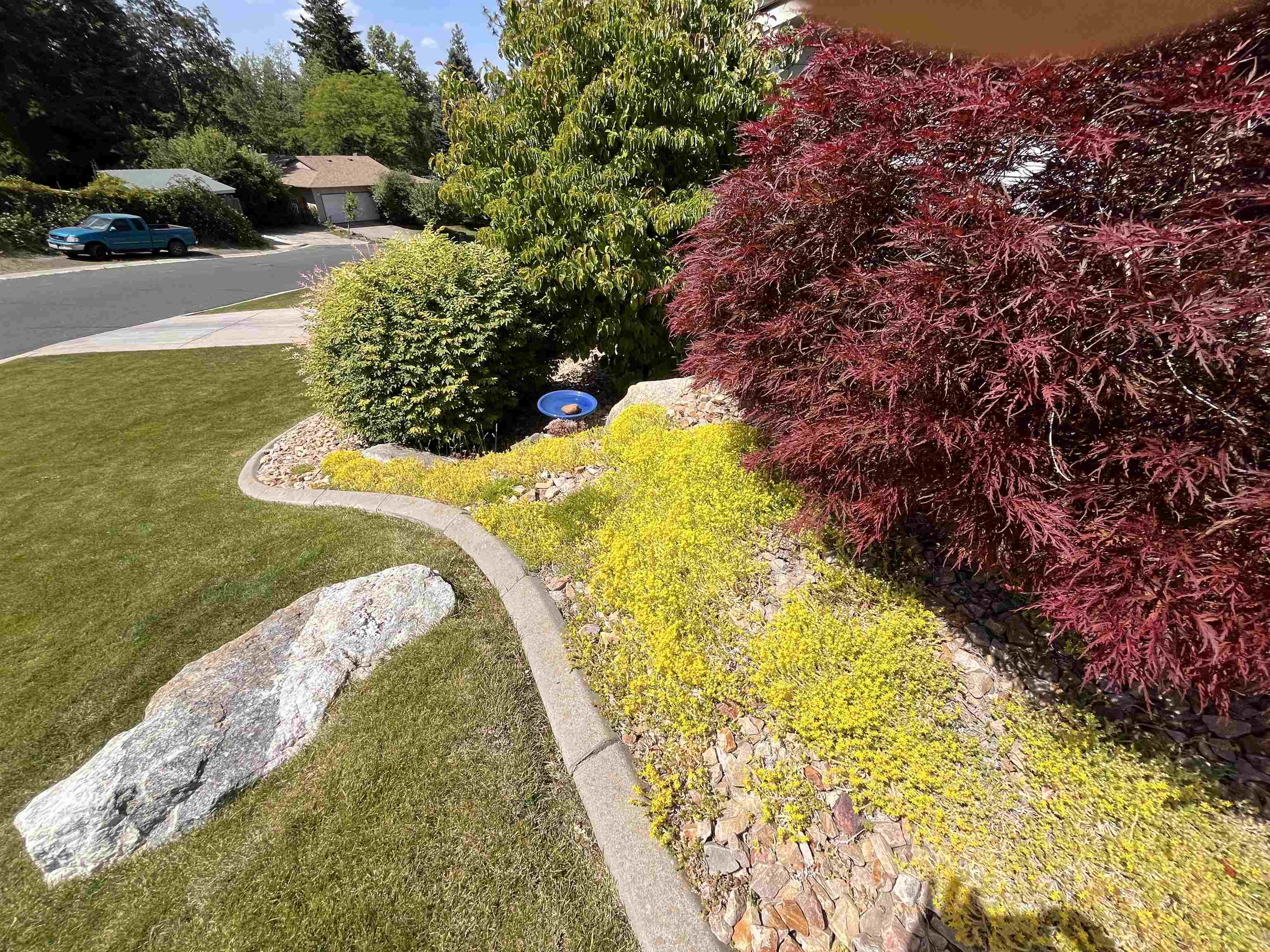 10532 EDNA Ln - Photo 47