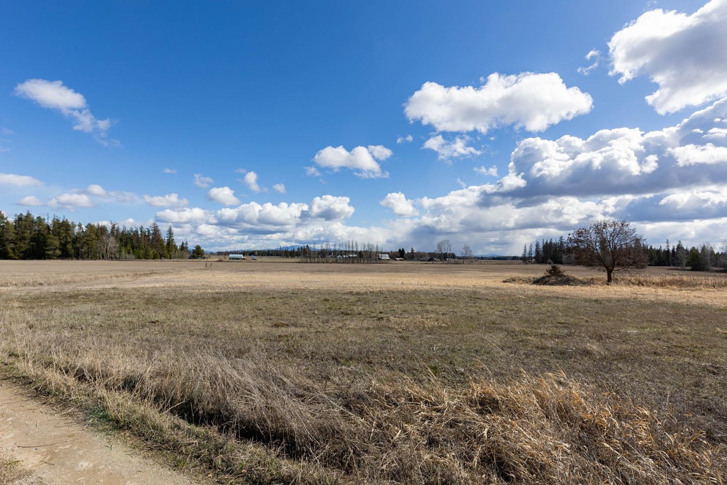 4781B W Gibson Dahl Rd - Photo 8