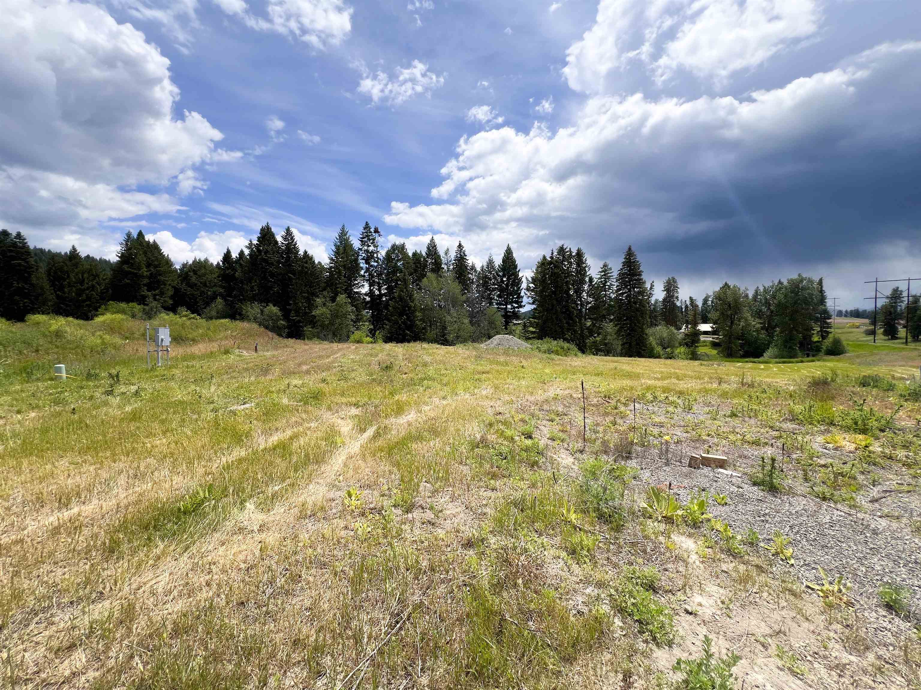 2082 Whitetail Way - Photo 11