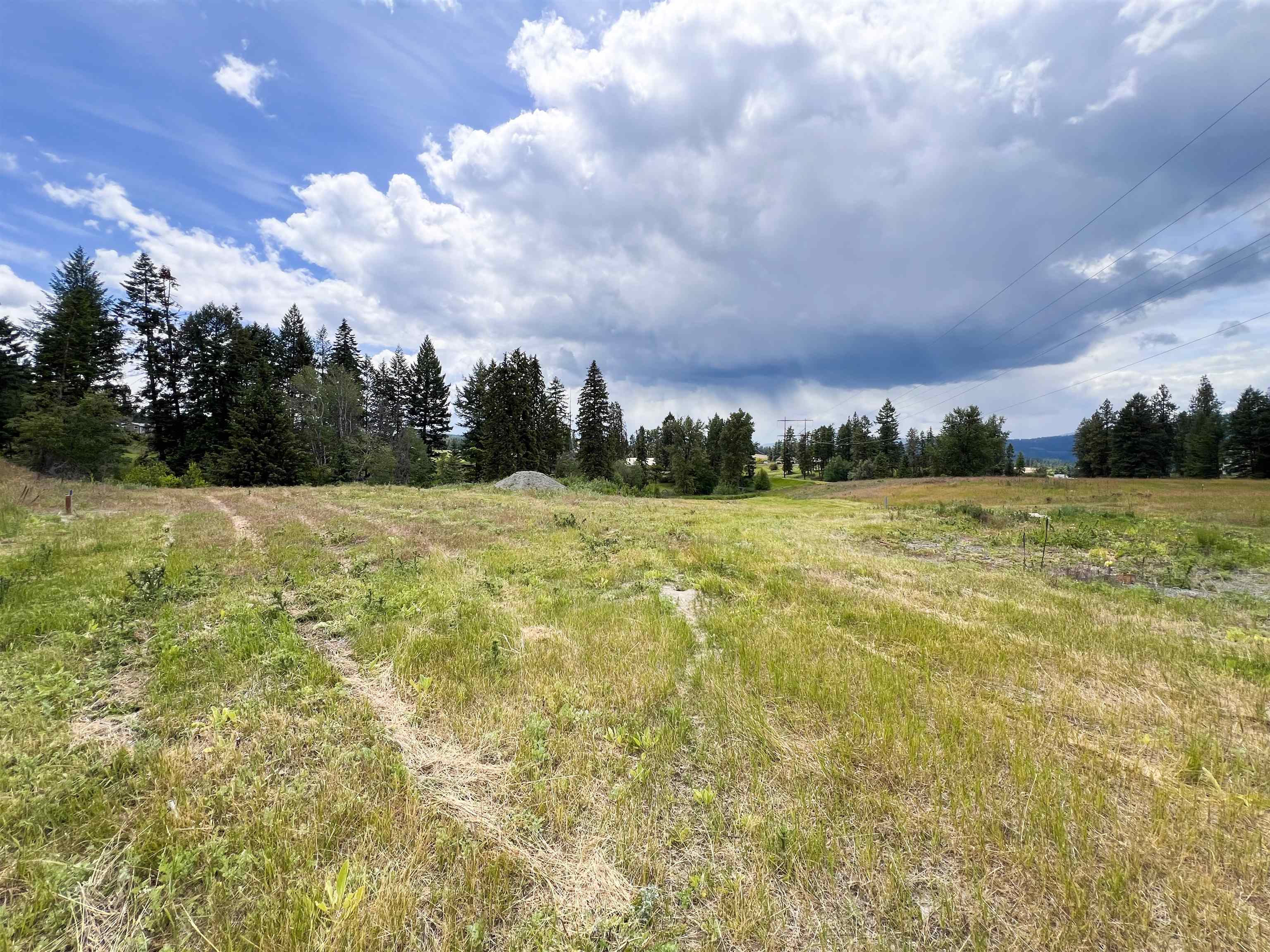 2082 Whitetail Way - Photo 15
