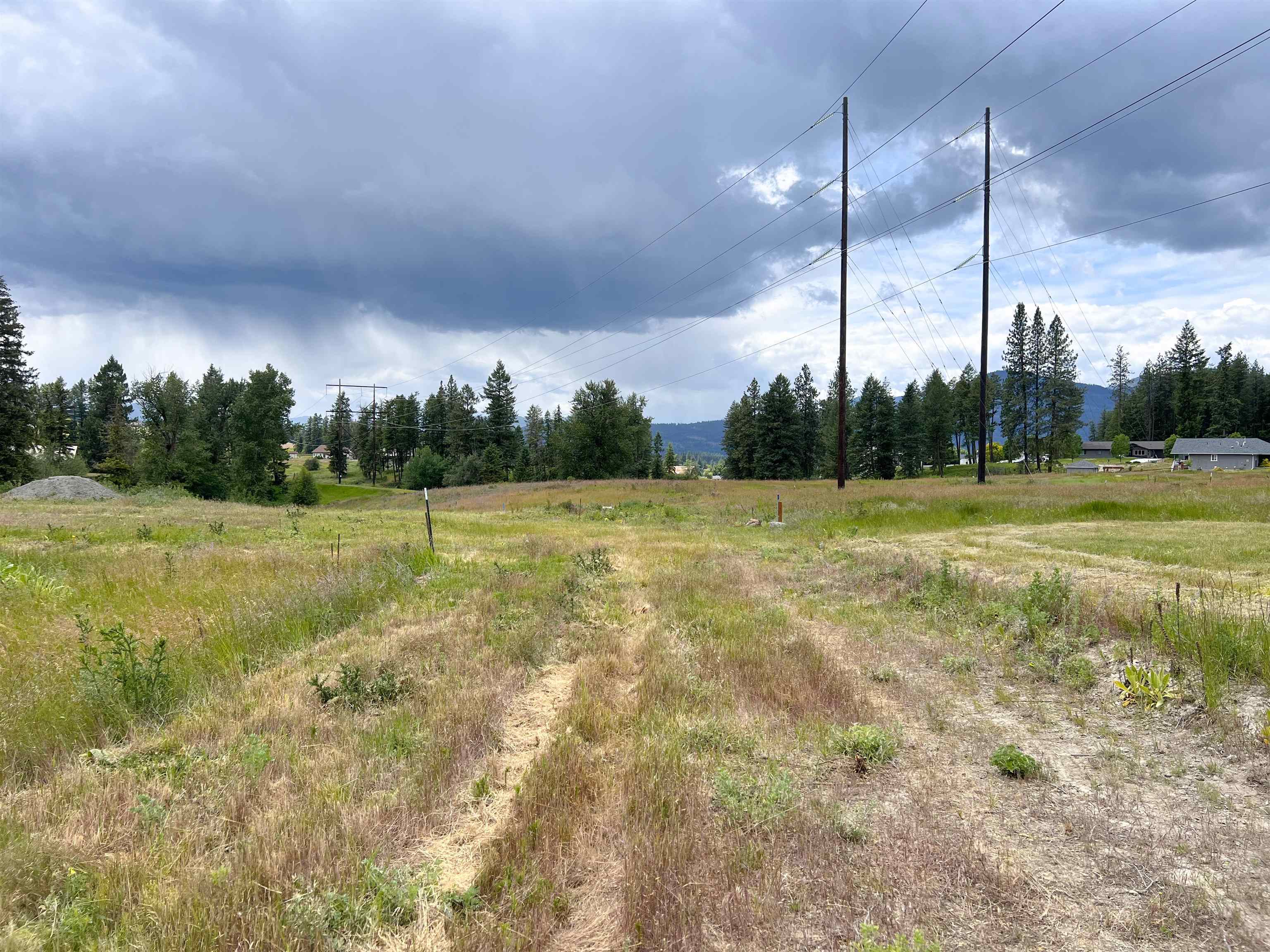 2082 Whitetail Way - Photo 17