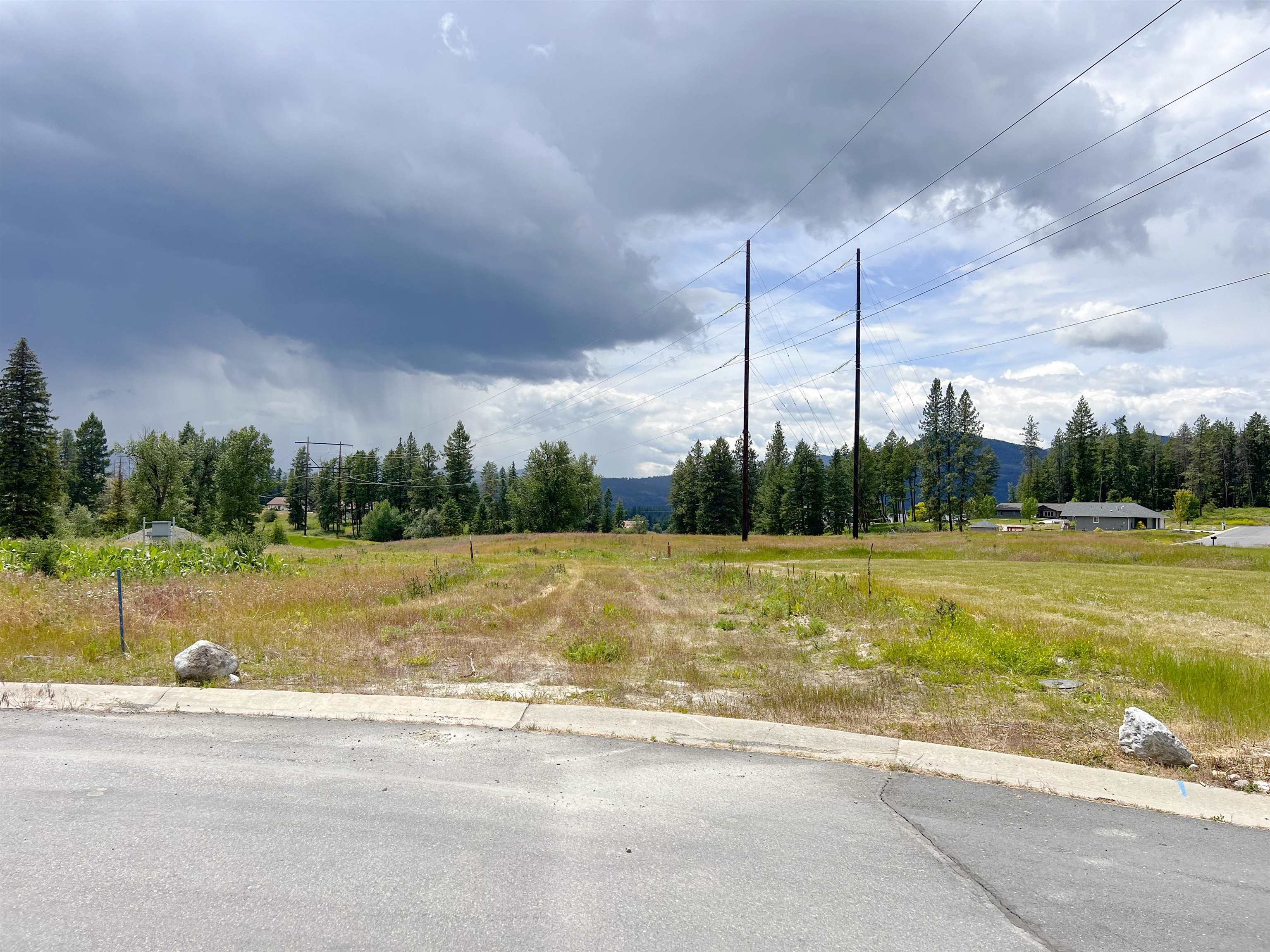 2082 Whitetail Way - Photo 3